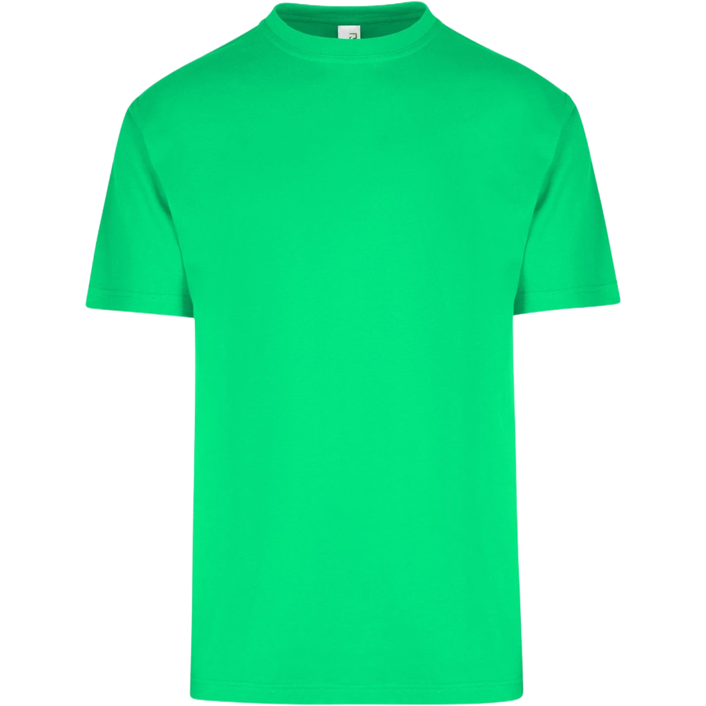 RAMO Regular T-Shirt T202HT