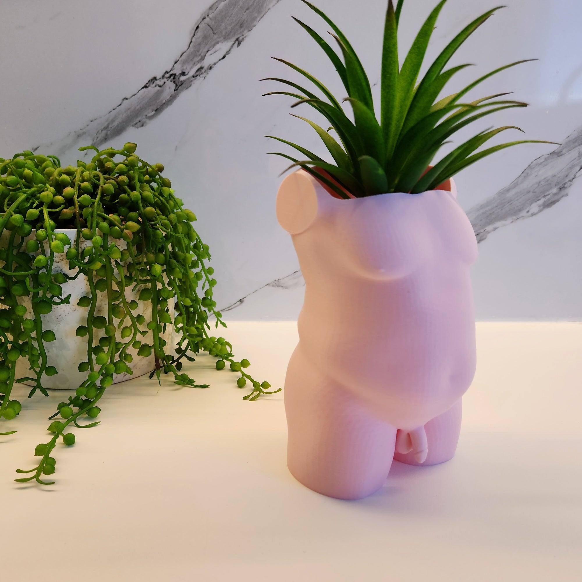 The Dad Bod Planter - Printibly