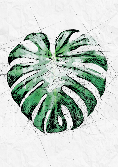 Tropical Green Leaf Prints - Printibly