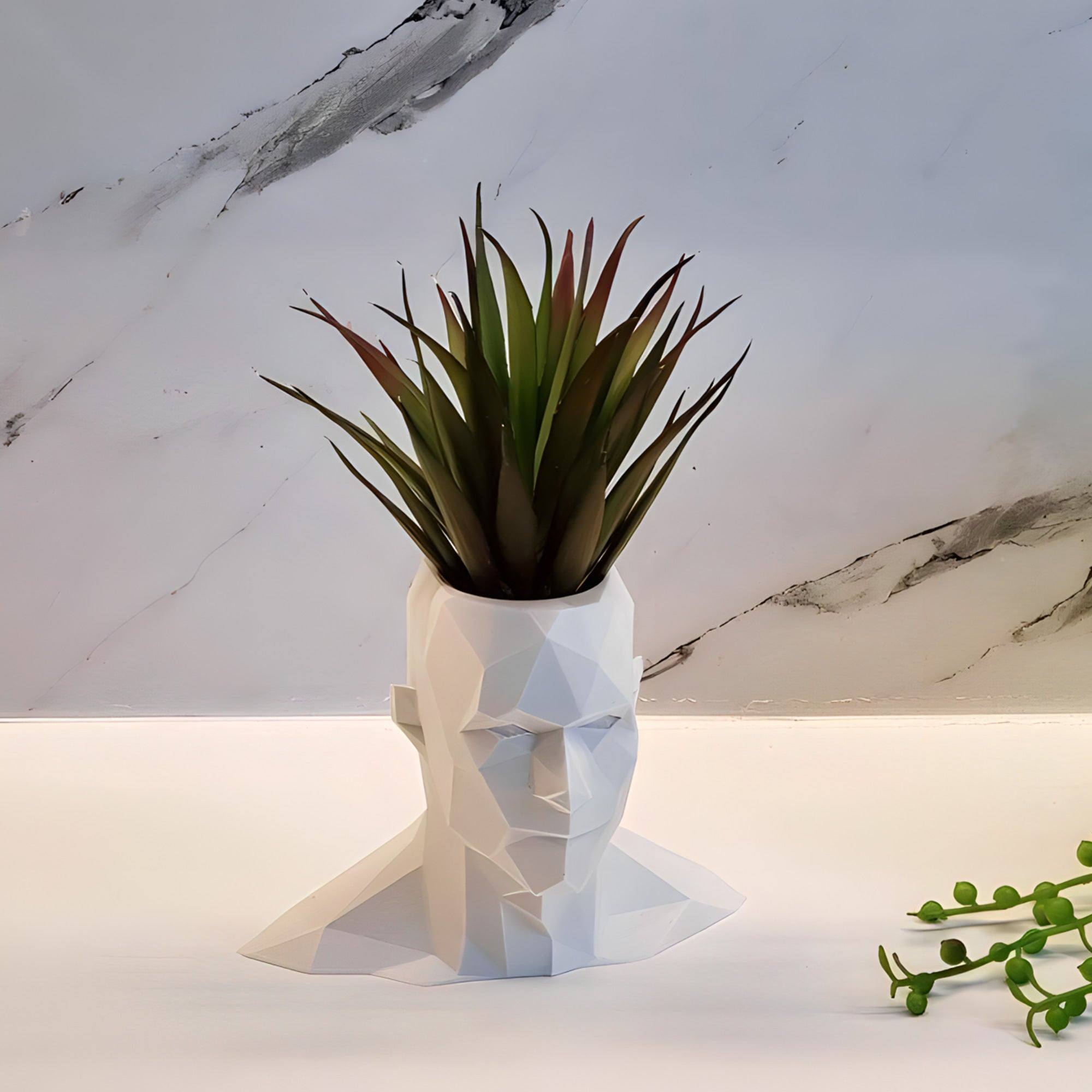 Low Poly Male Head Planter - Printibly