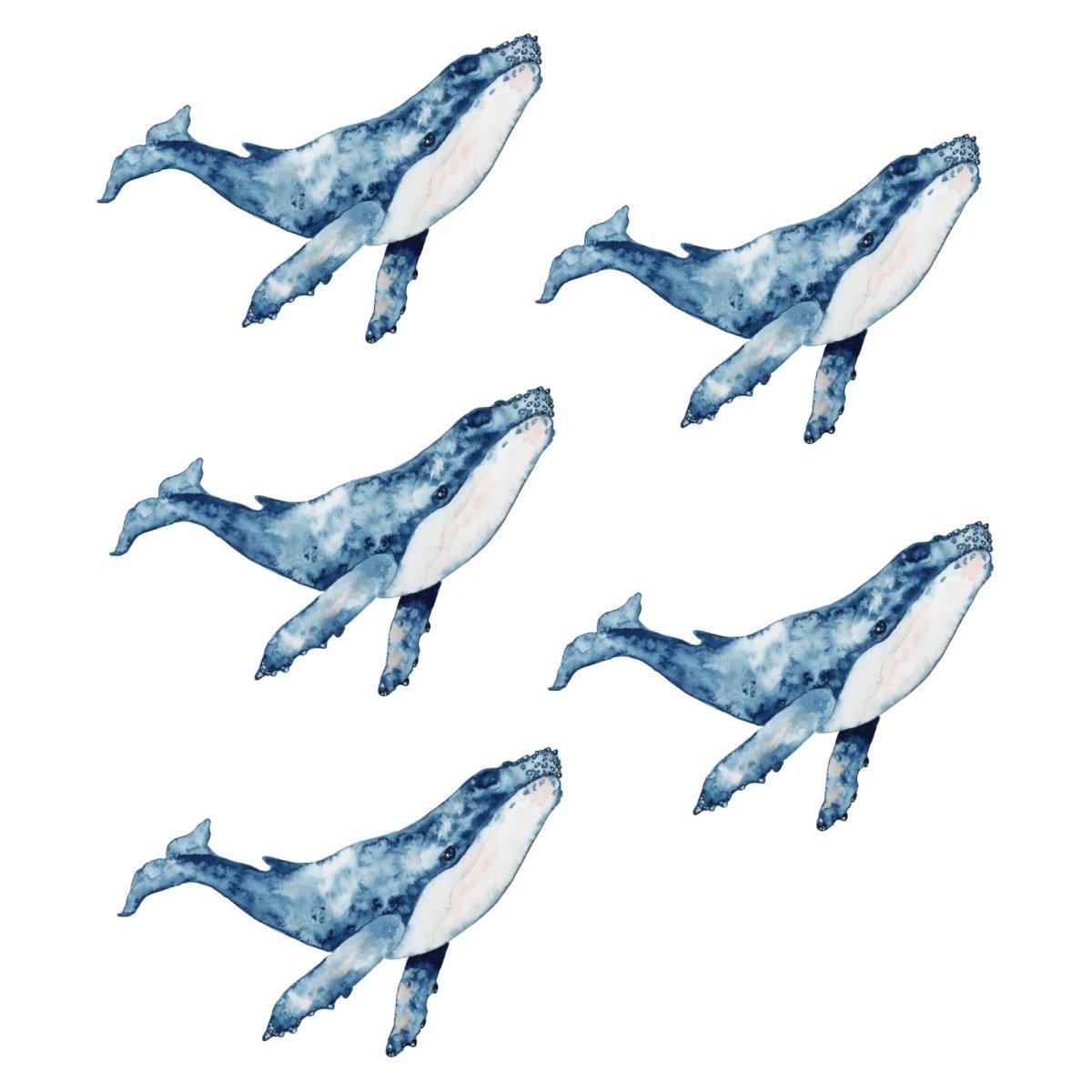 Whale Wall Decals - Printibly