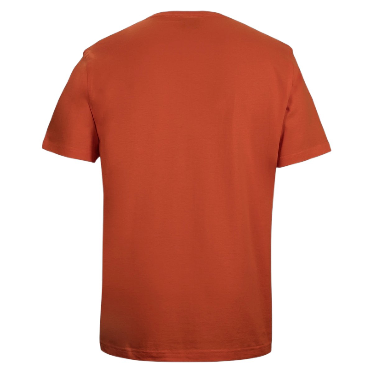 1HT - Ochre - back