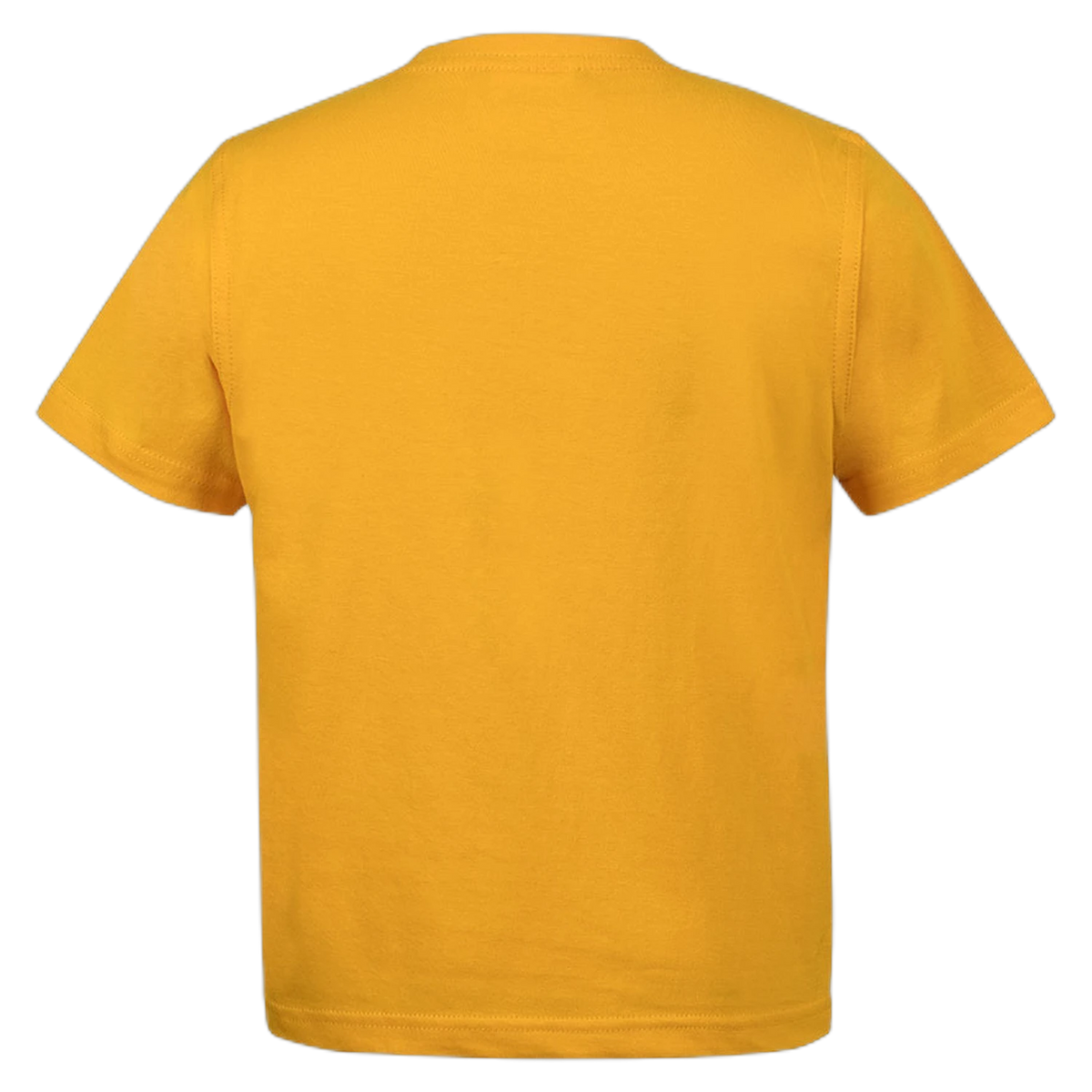 1KT - Gold - back
