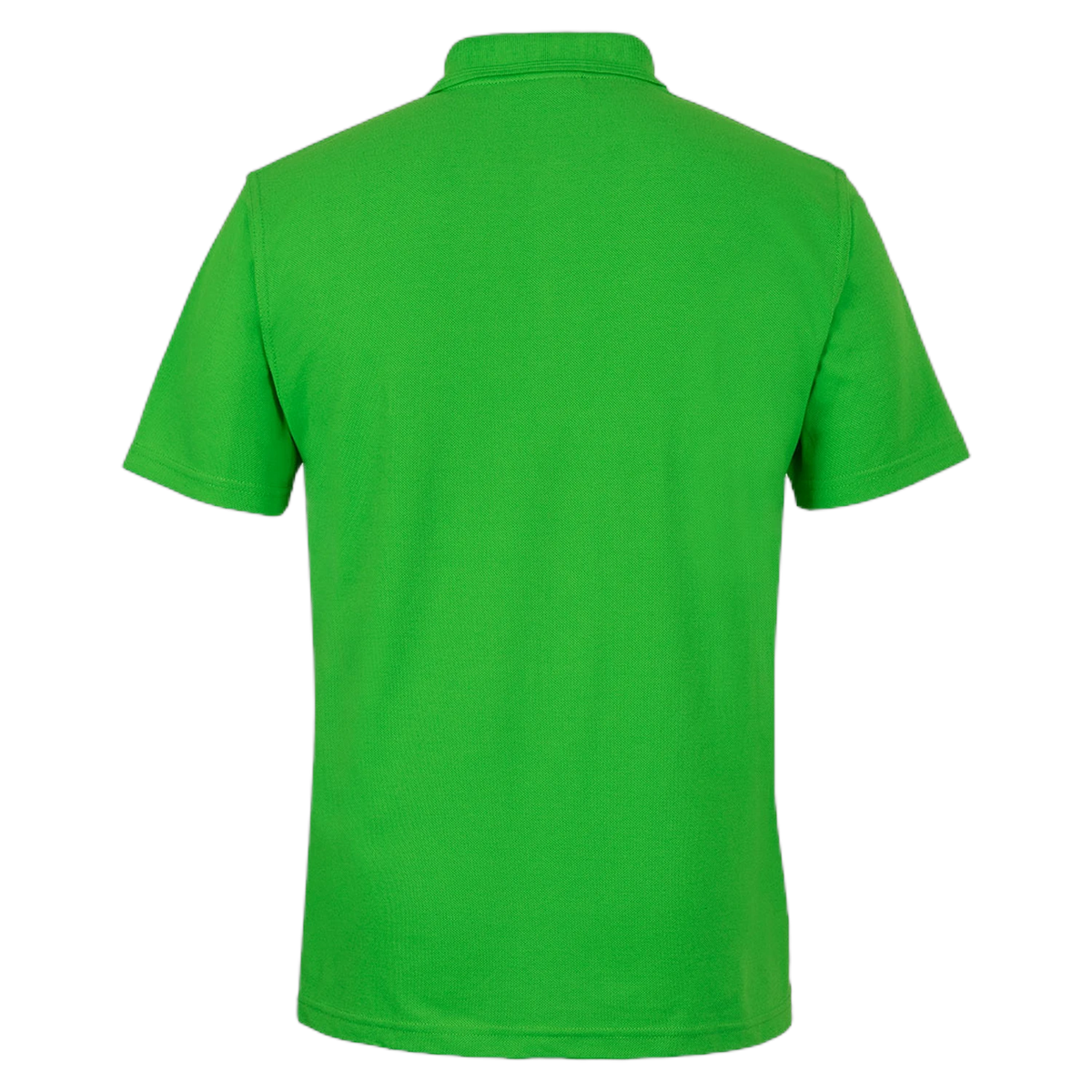 210 - Pea Green - back