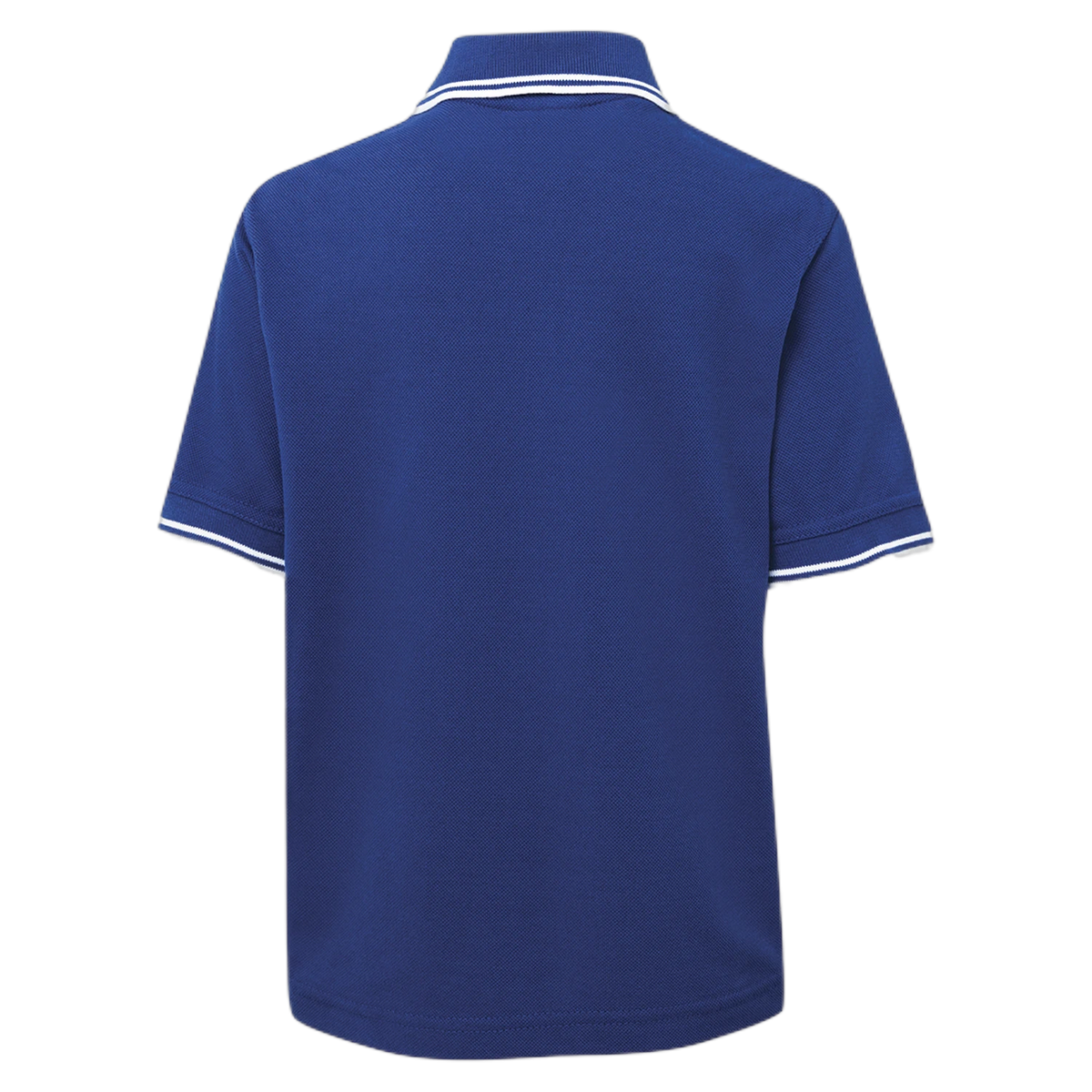 2KCP - Royal/White - back