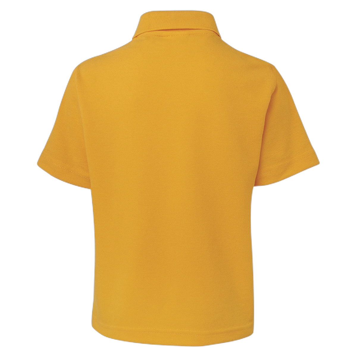 2KP - Gold - back