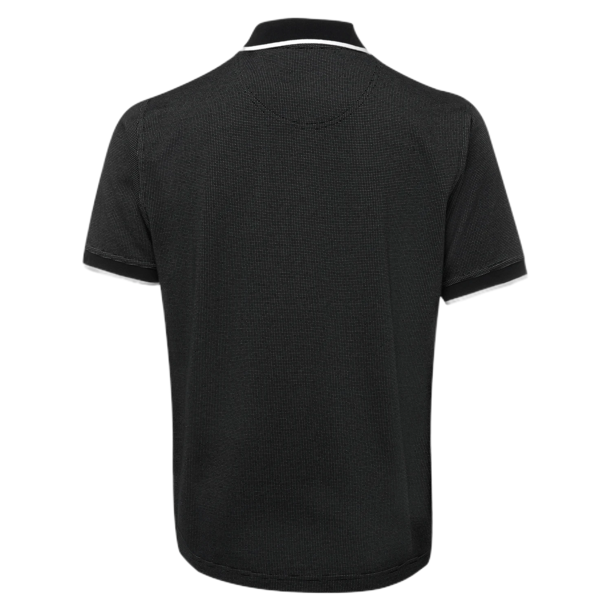 2PNH - Black - back