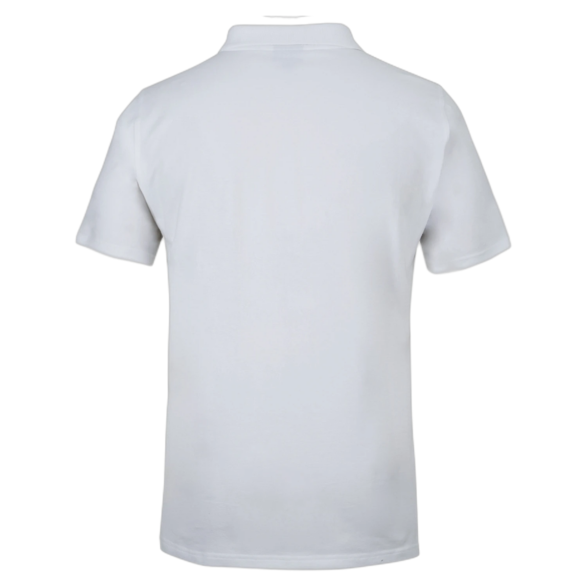 2STS - White - back