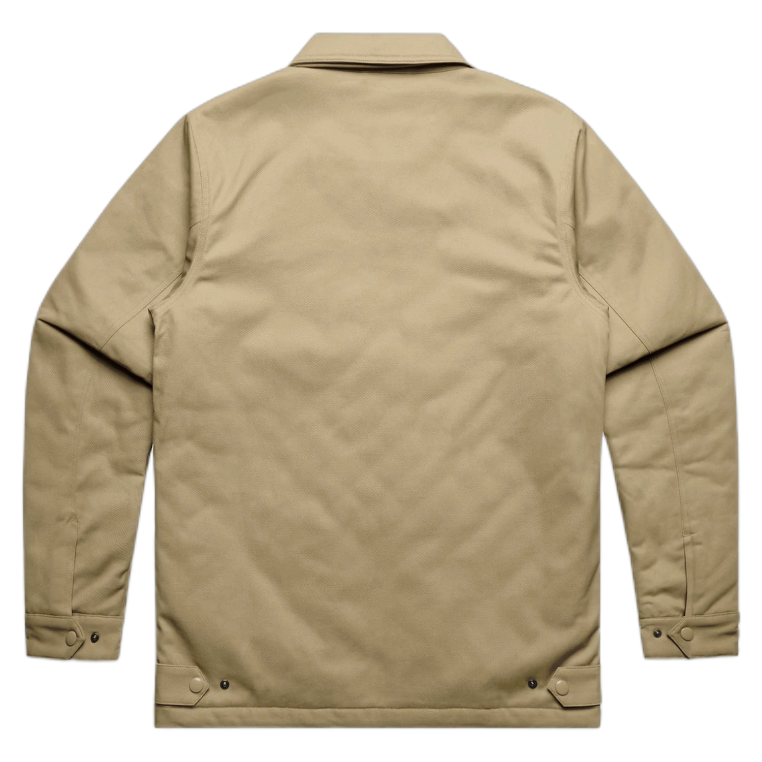5523 - Khaki - back