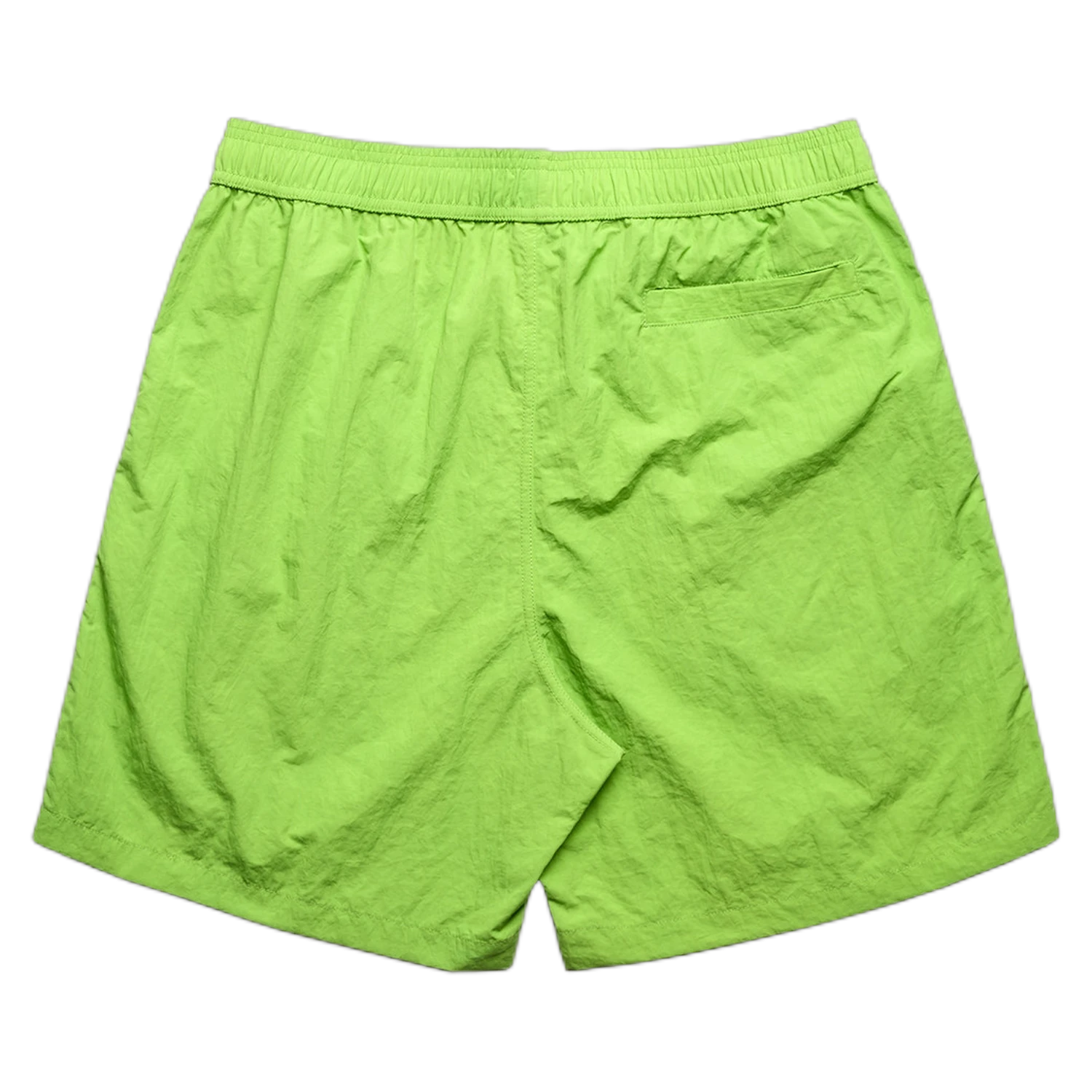 5904 - Citrus - back