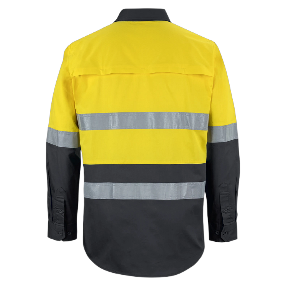 6DNWL - Yellow/Black - back