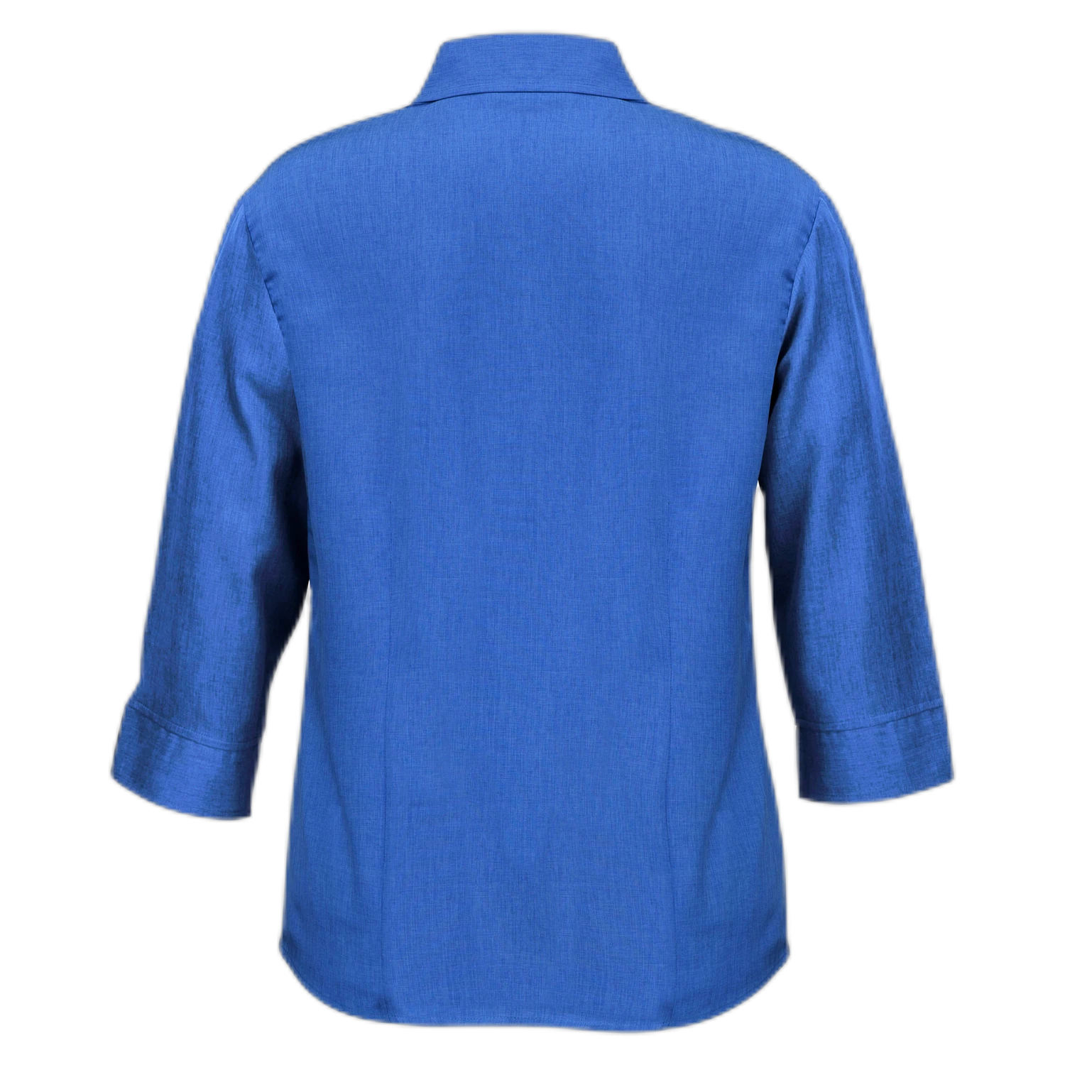 LB3600 - Electric Blue - back