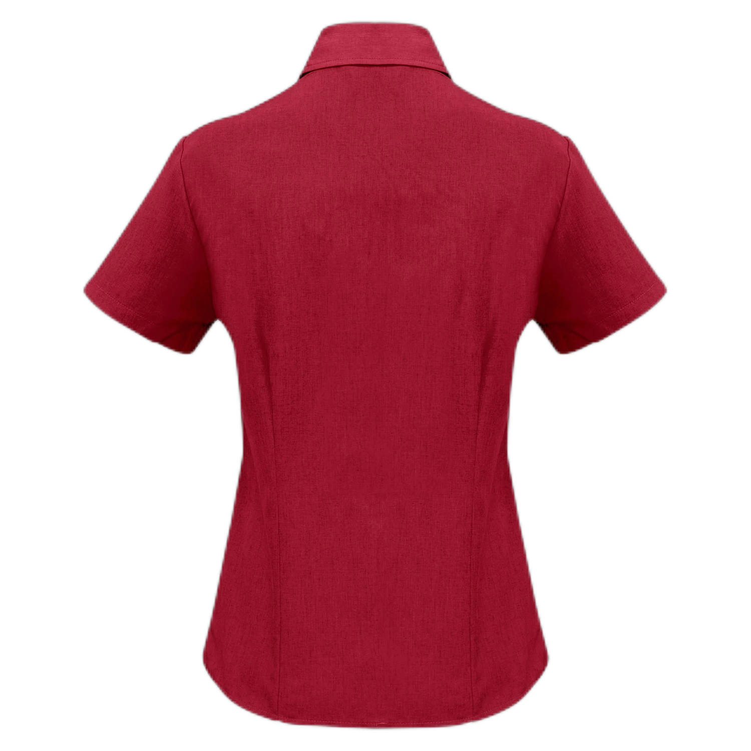 LB3601 - Cherry - back