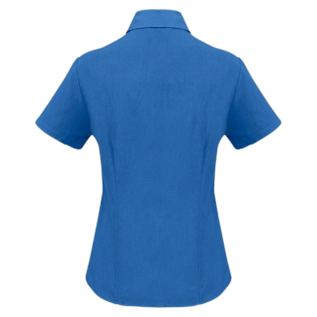 LB3601 - Electric Blue - back