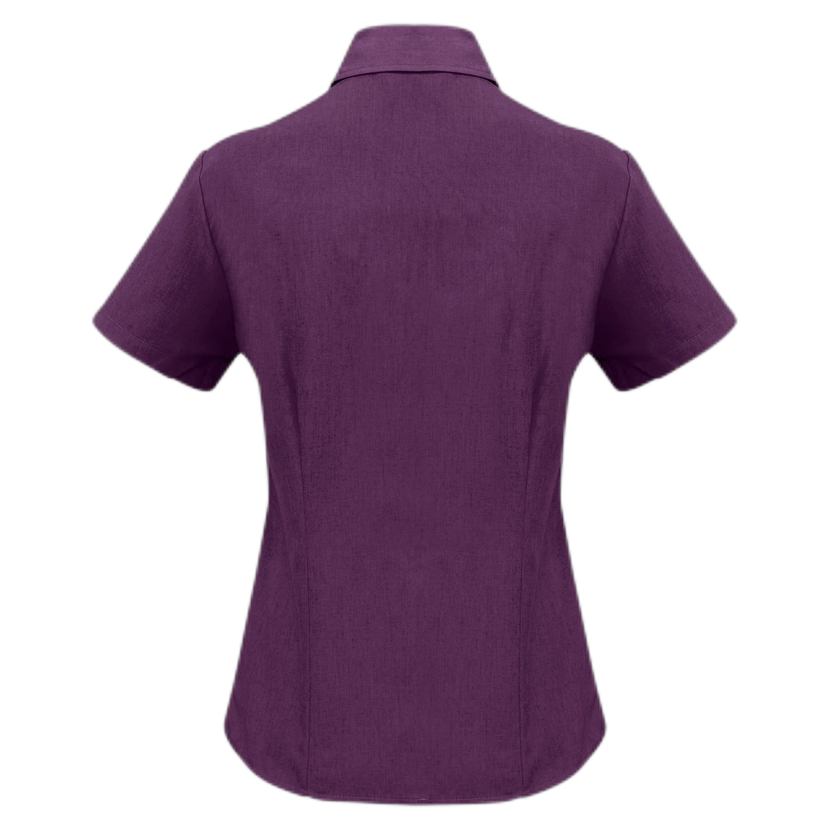 LB3601 - Grape - back