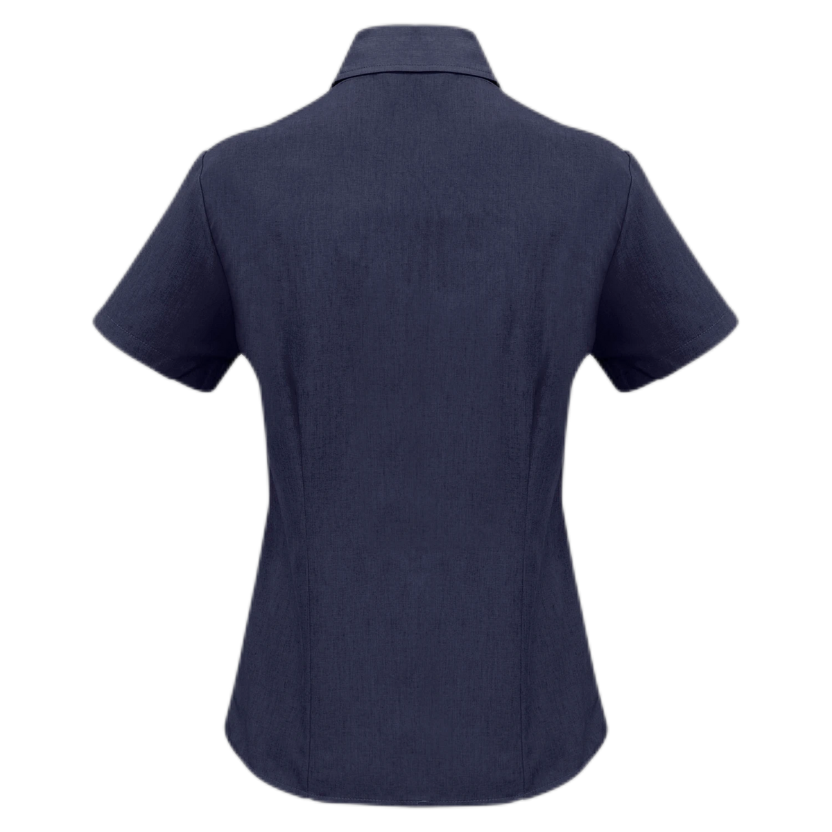 LB3601 - Navy - back