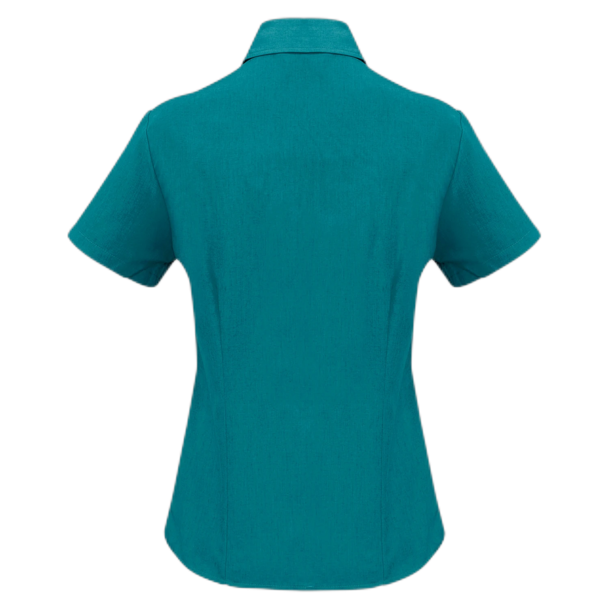 LB3601 - Teal - back