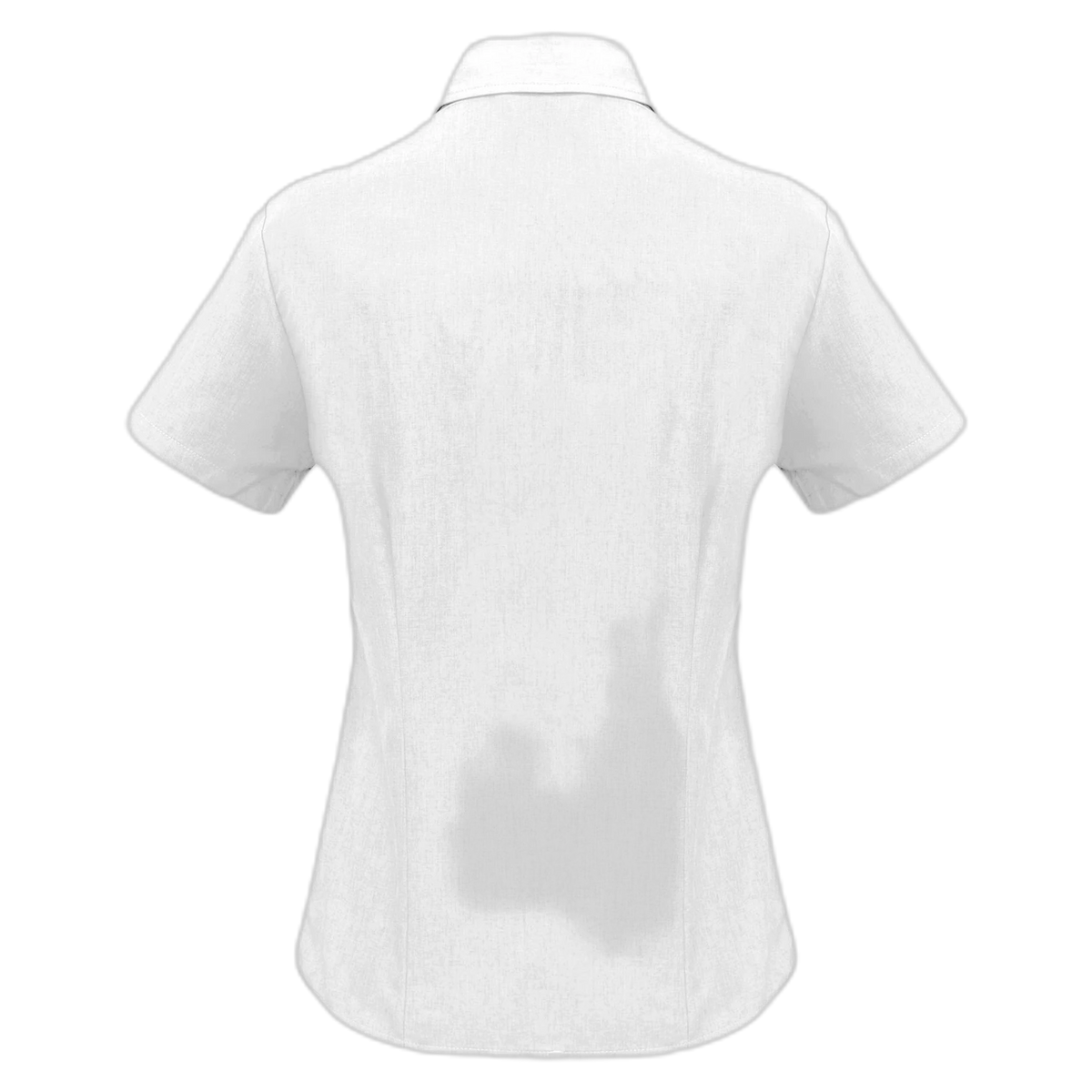 LB3601 - White - back