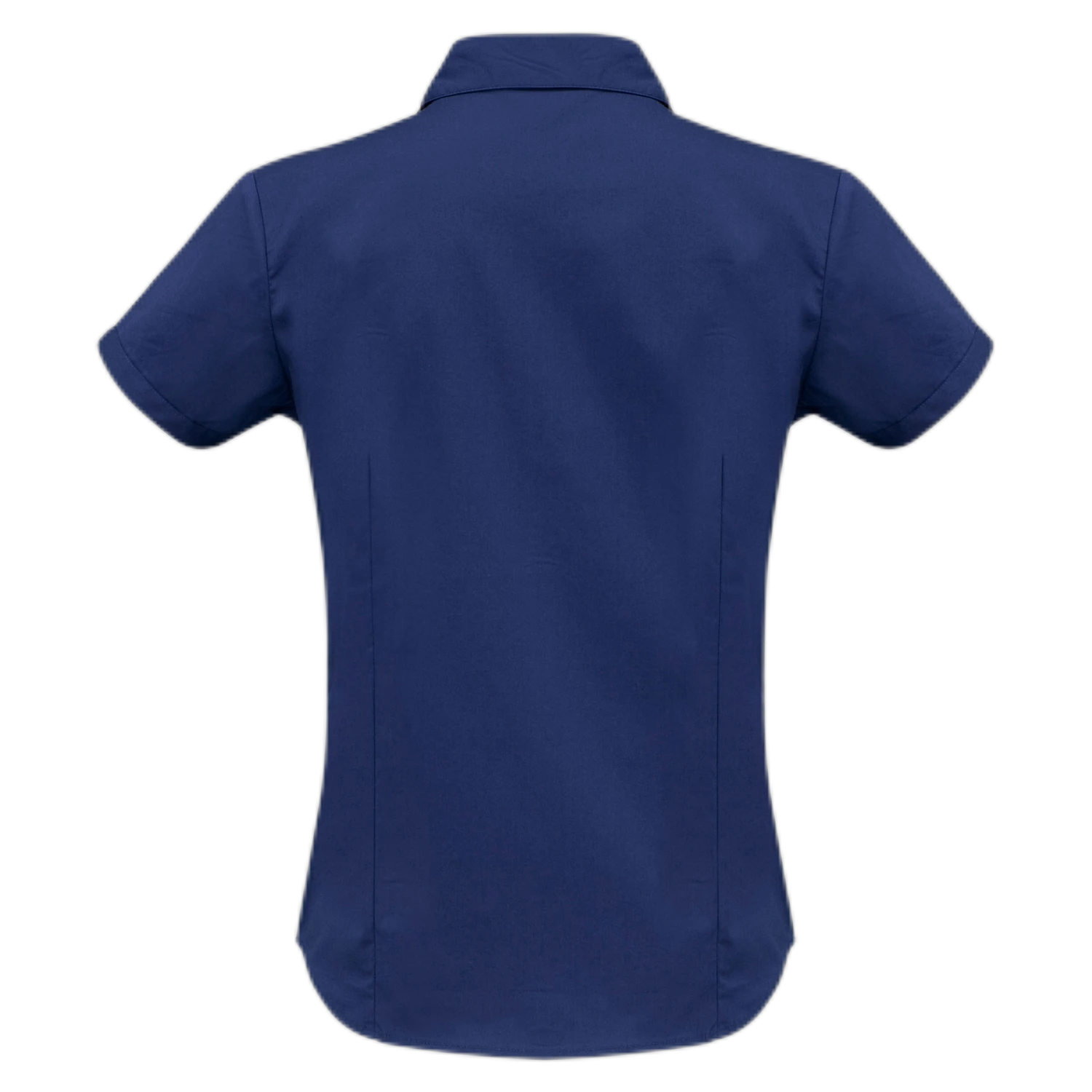 LB7301 - Royal - back