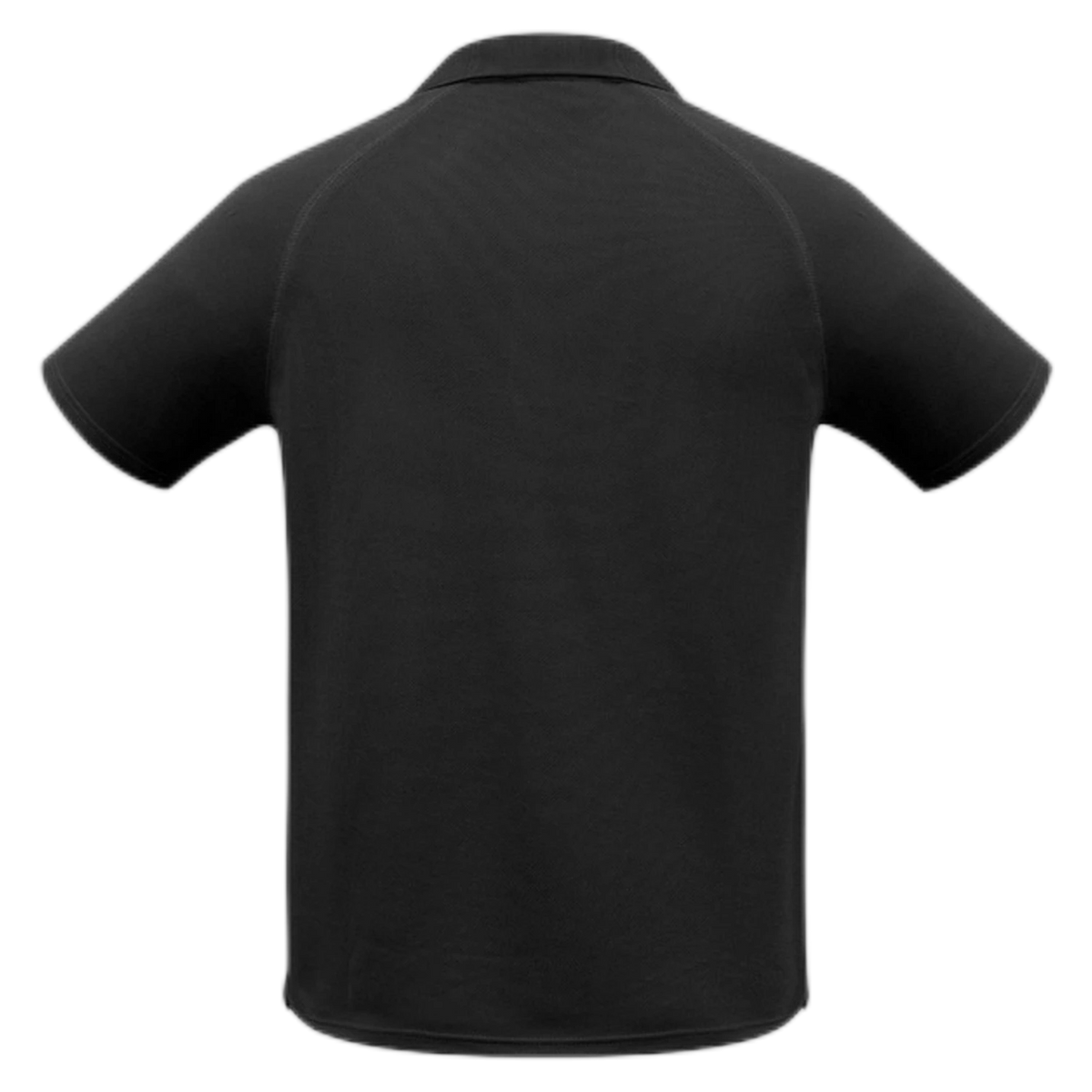 P300KS - Black - back