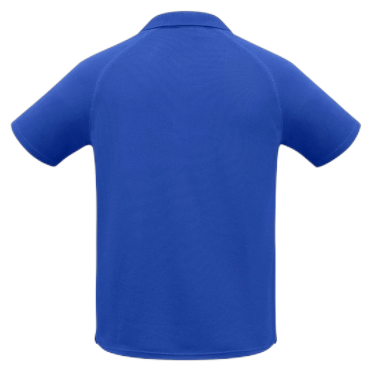 P300KS - Royal - back