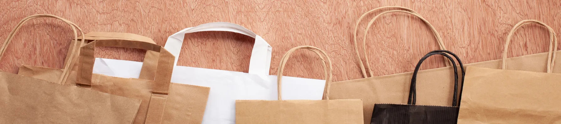 Custom Printed Paper Bags