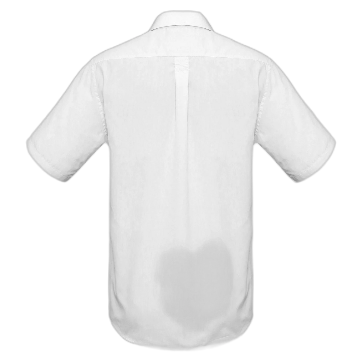 S10512 - White - back
