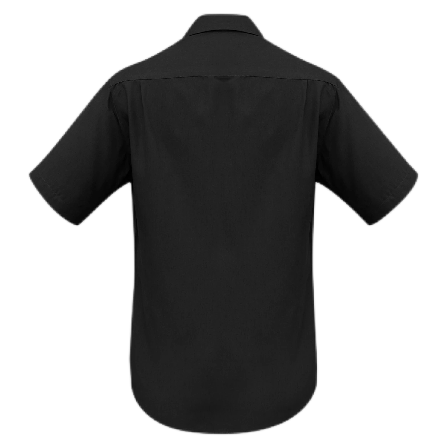 SH3603 - Black - back
