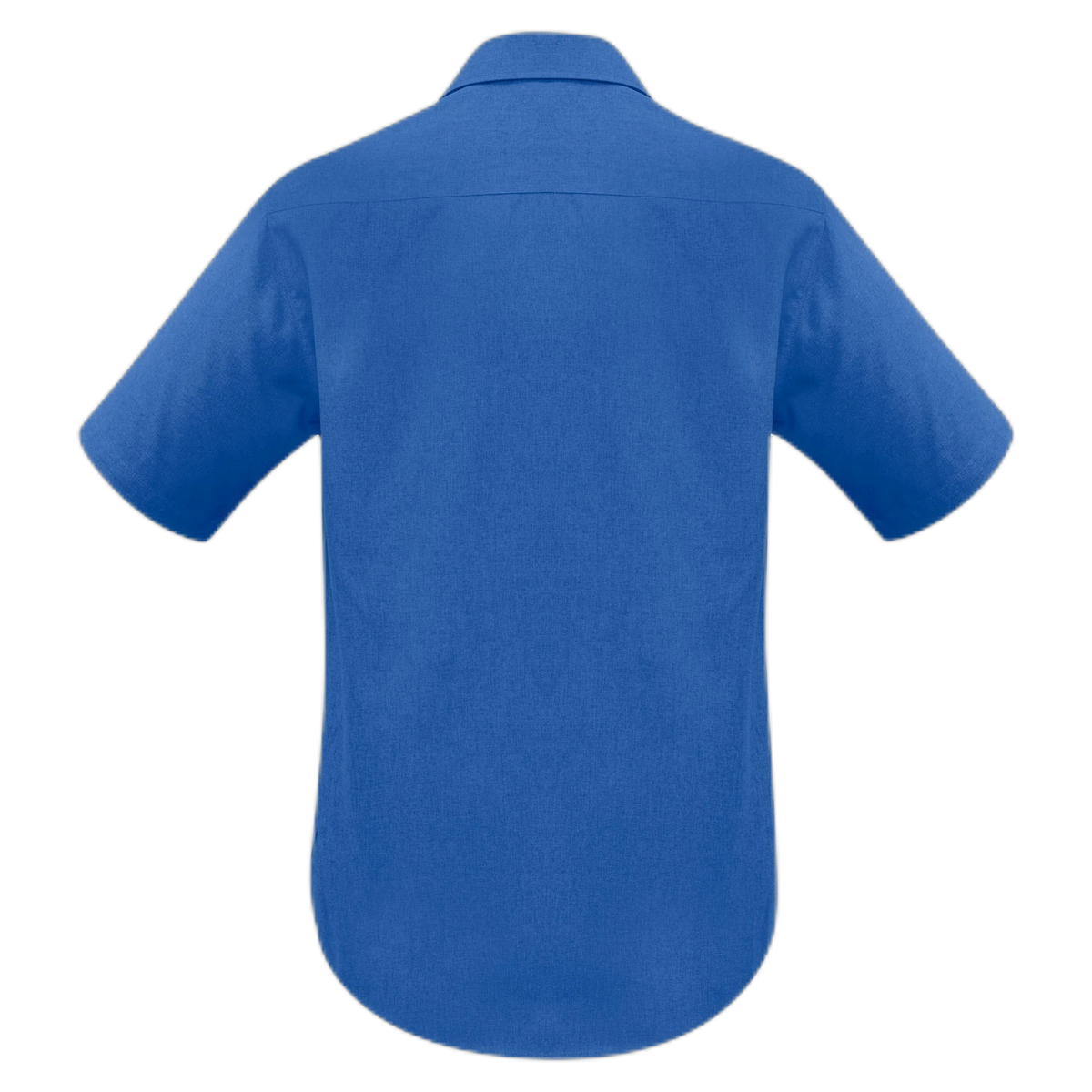 SH3603 - Electric Blue - back