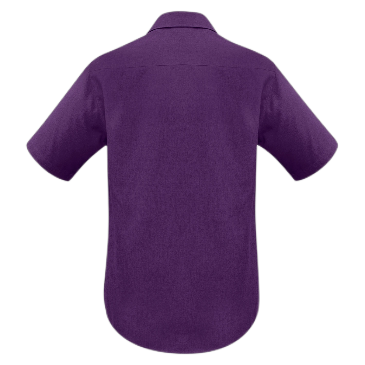 SH3603 - Grape - back