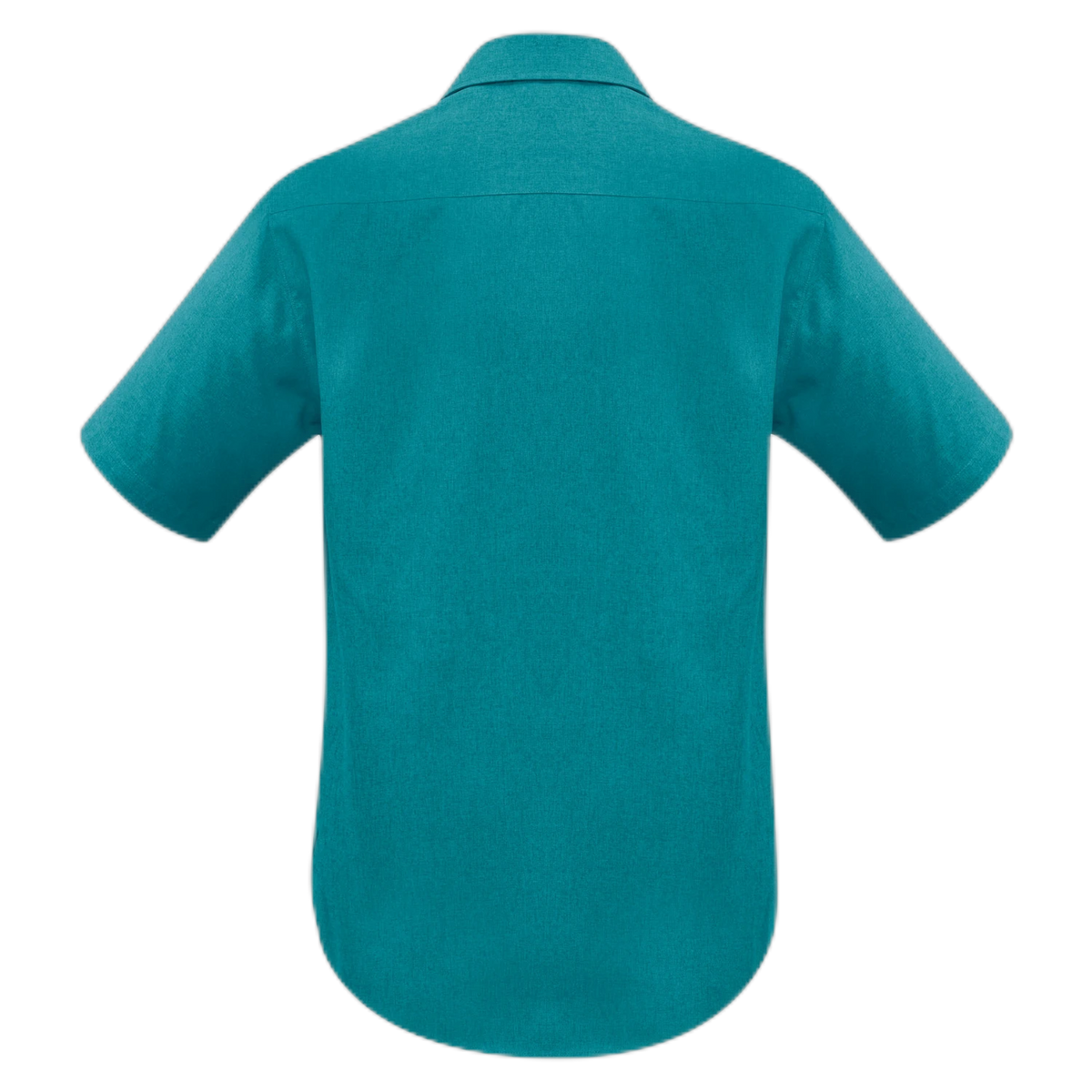 SH3603 - Teal - back