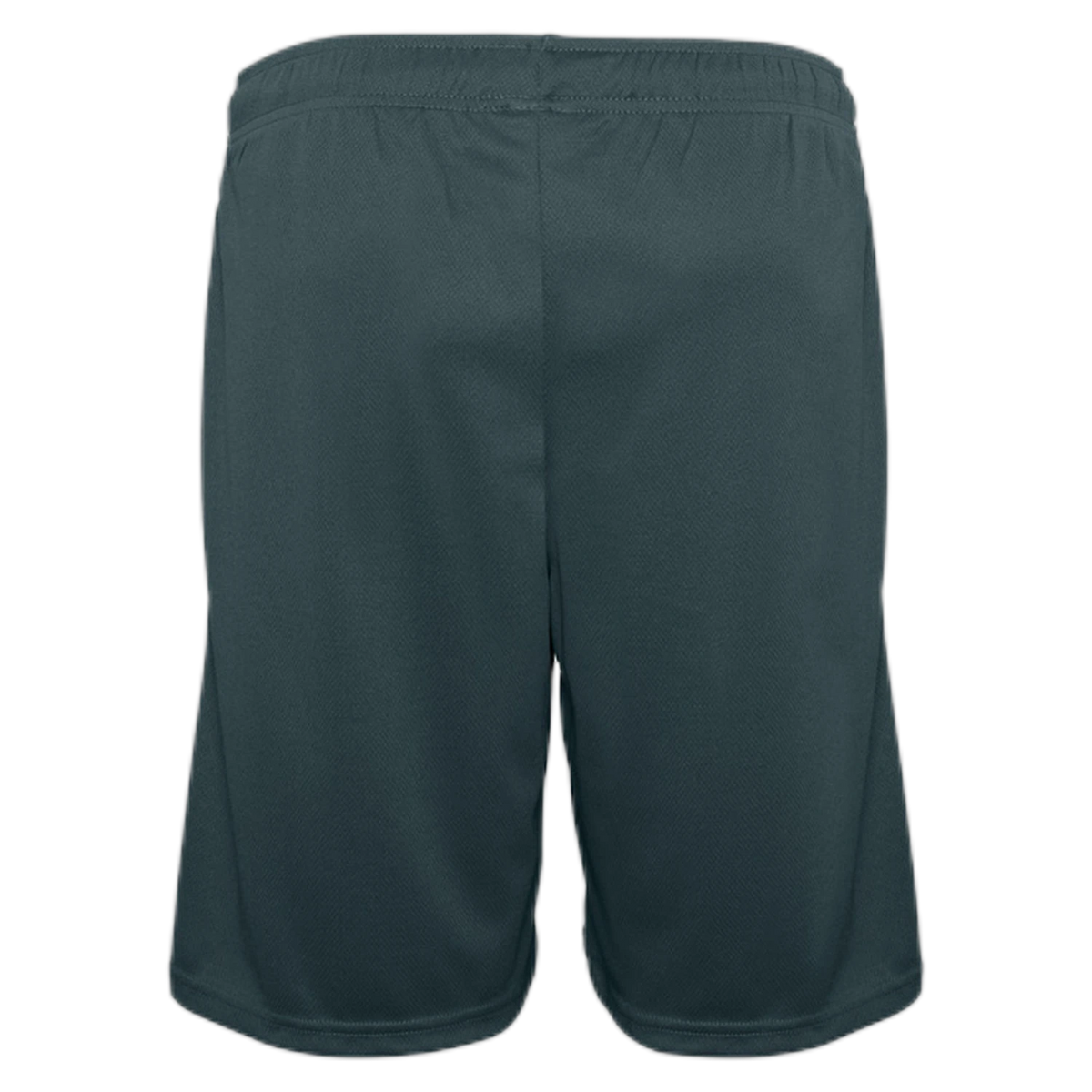 ST2020B - Forest - back