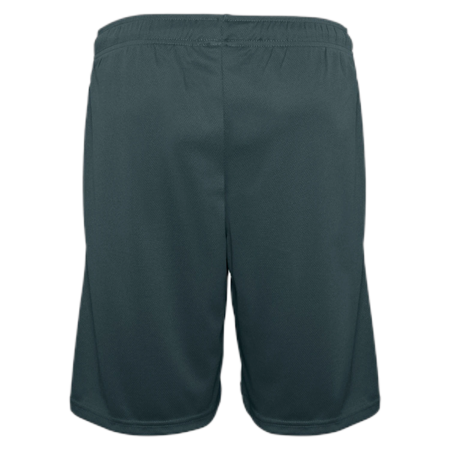 ST2020 - Forest - back