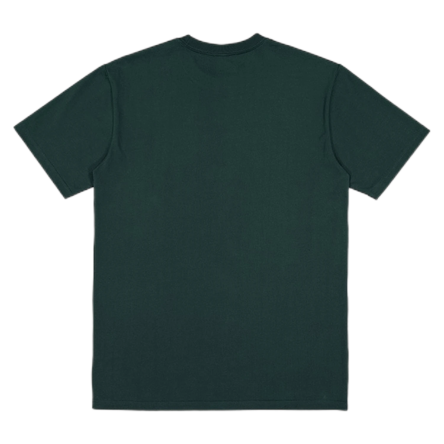 X2001M - Scarab Green - back