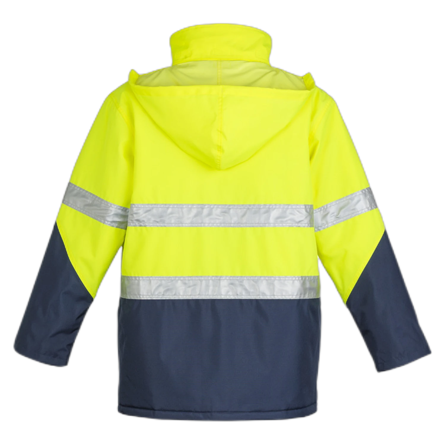 ZJ350 - Yellow/Navy - back