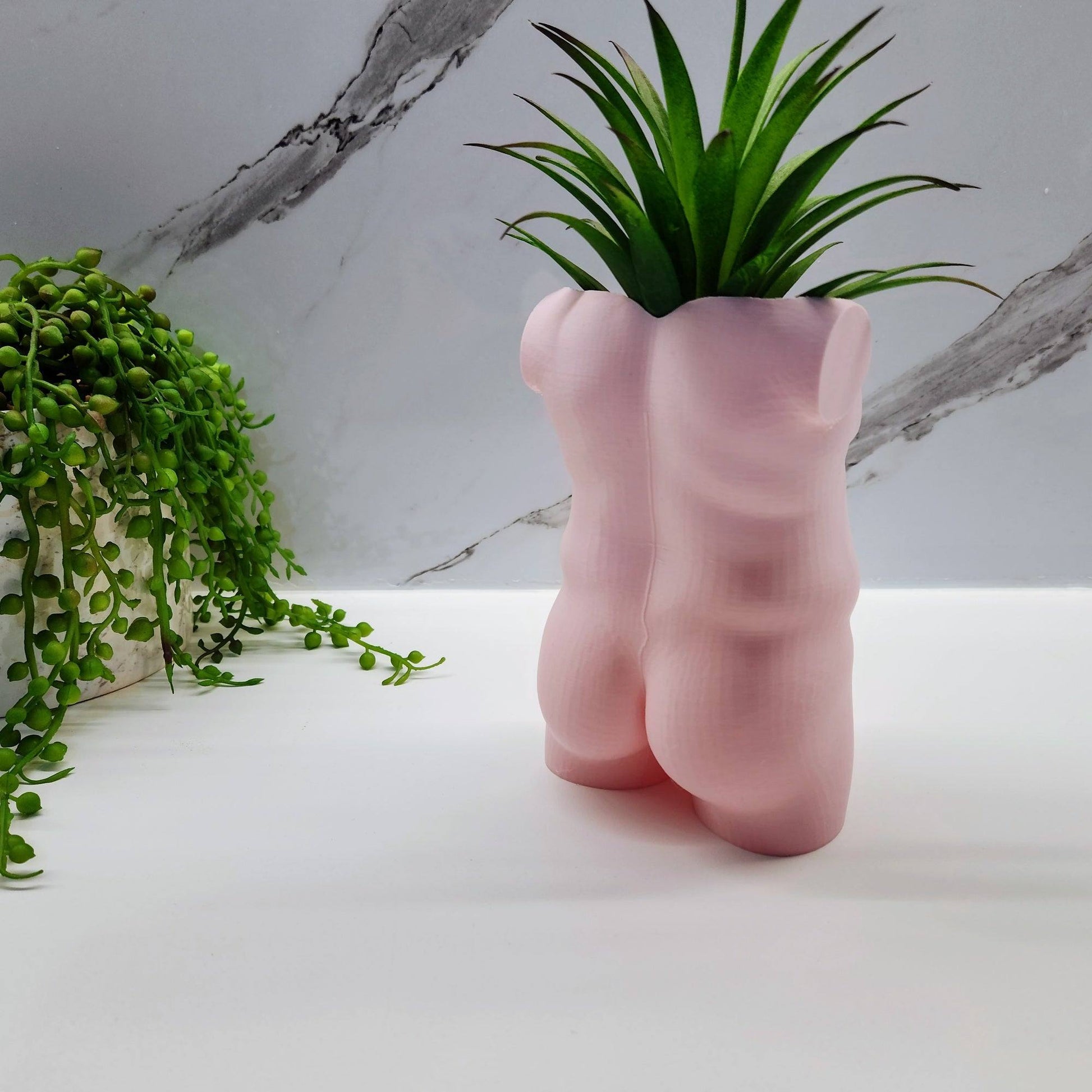 The Dad Bod Planter - Printibly