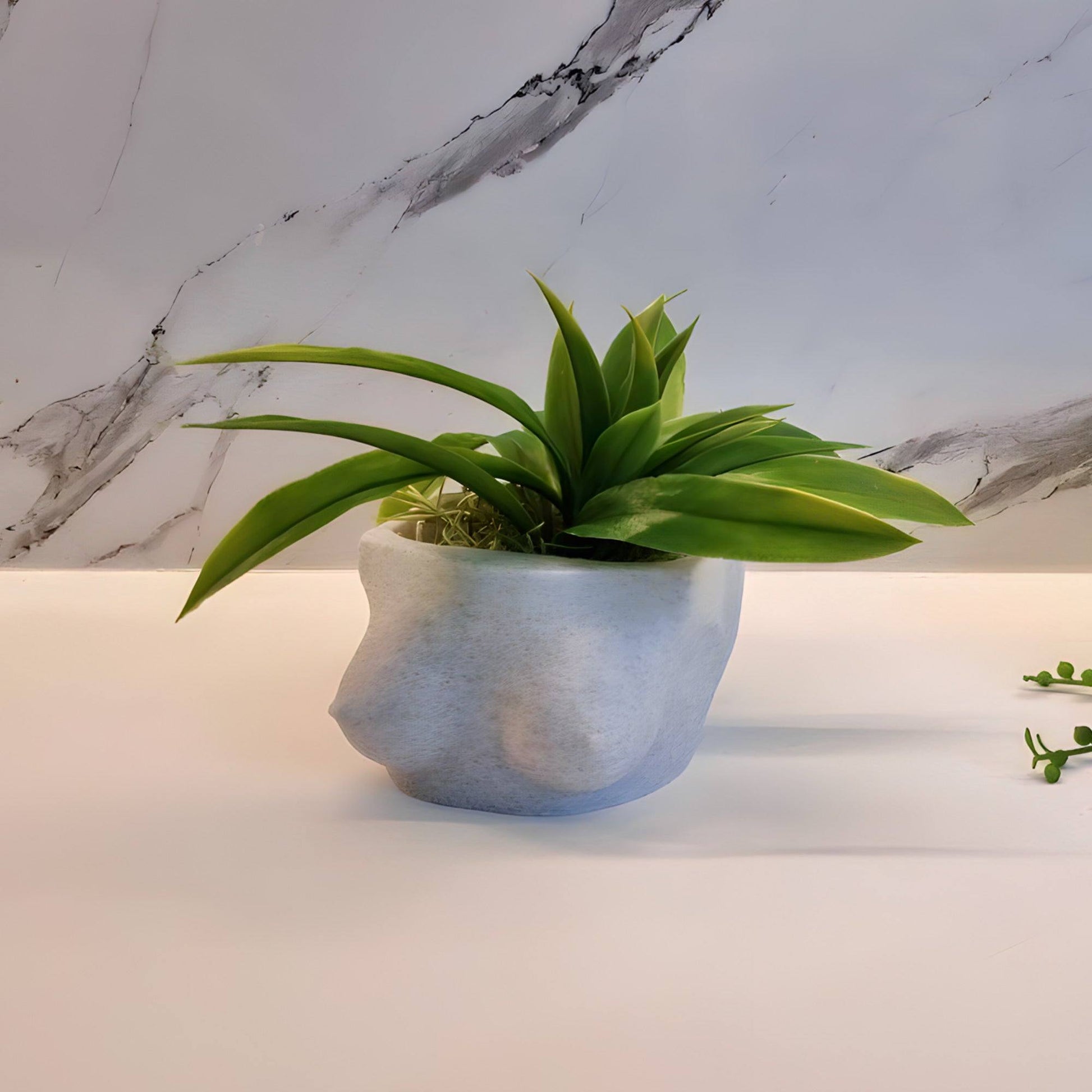 Knockers Planter - (Large Planter) - Printibly