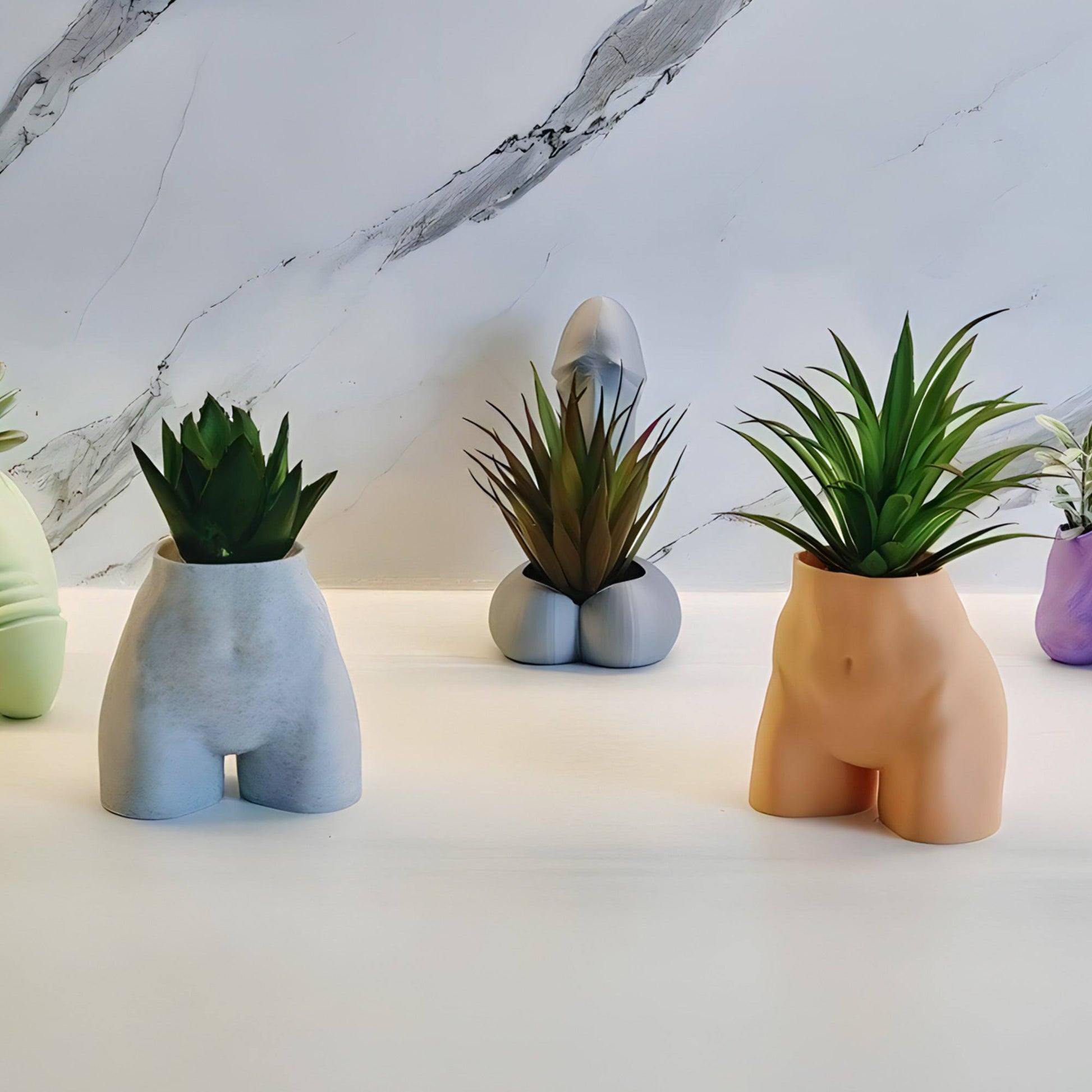 The Lady Planter - (For Air Plants/Small Succulents) - Printibly