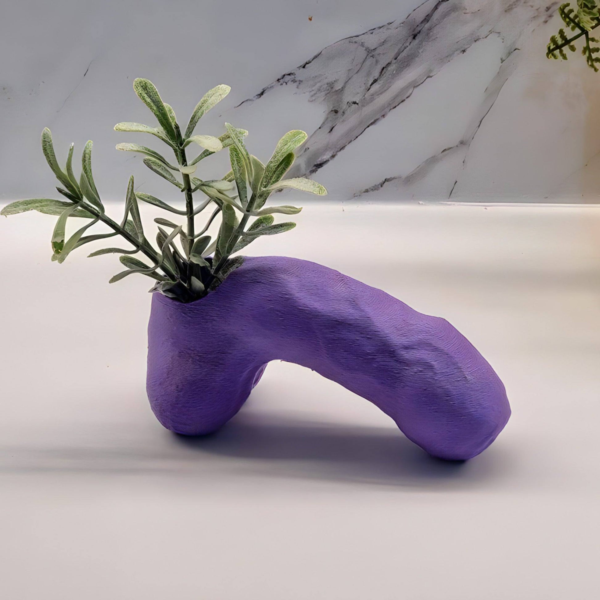 The Dong Planter - Floppy Joe - Printibly