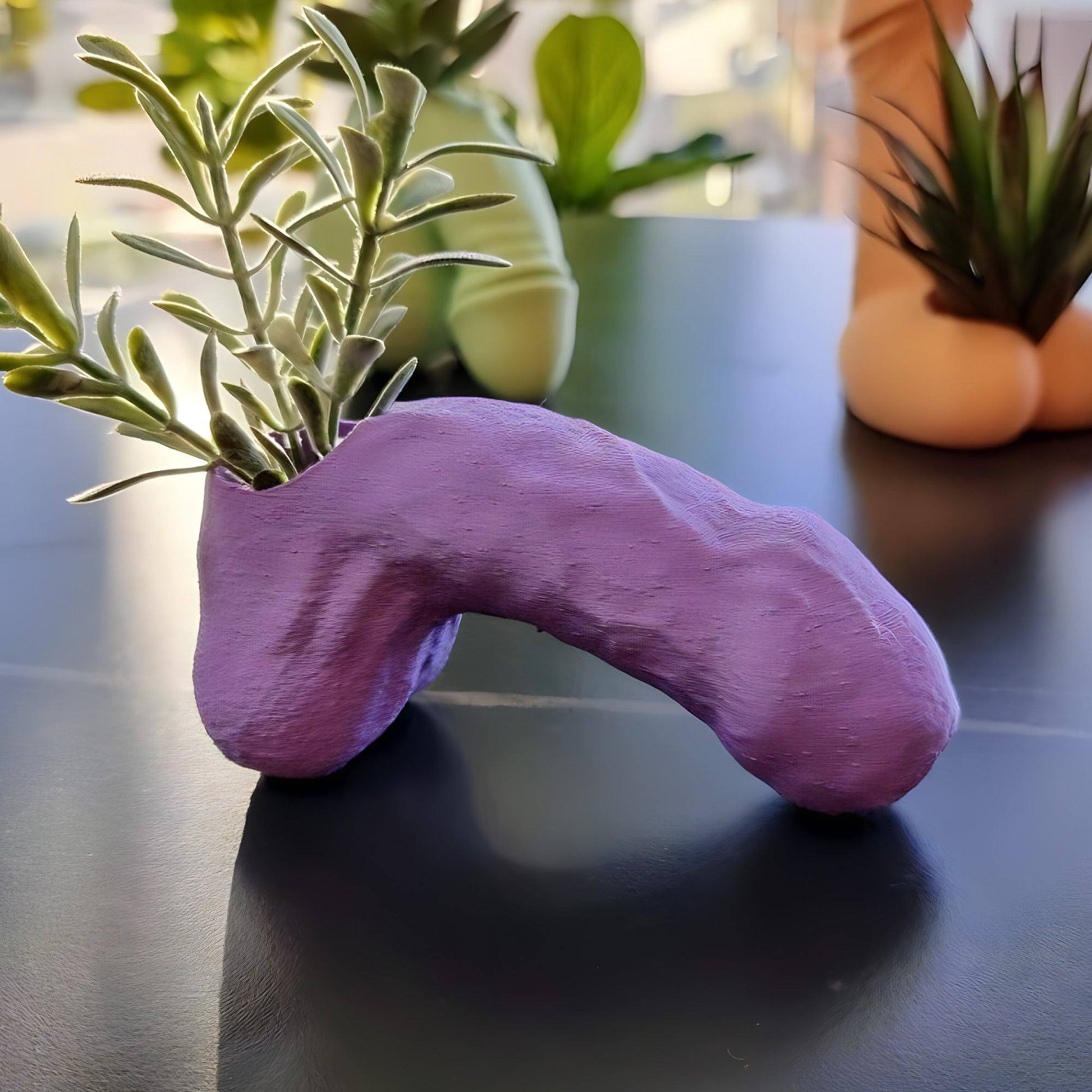 The Dong Planter - Floppy Joe - Printibly