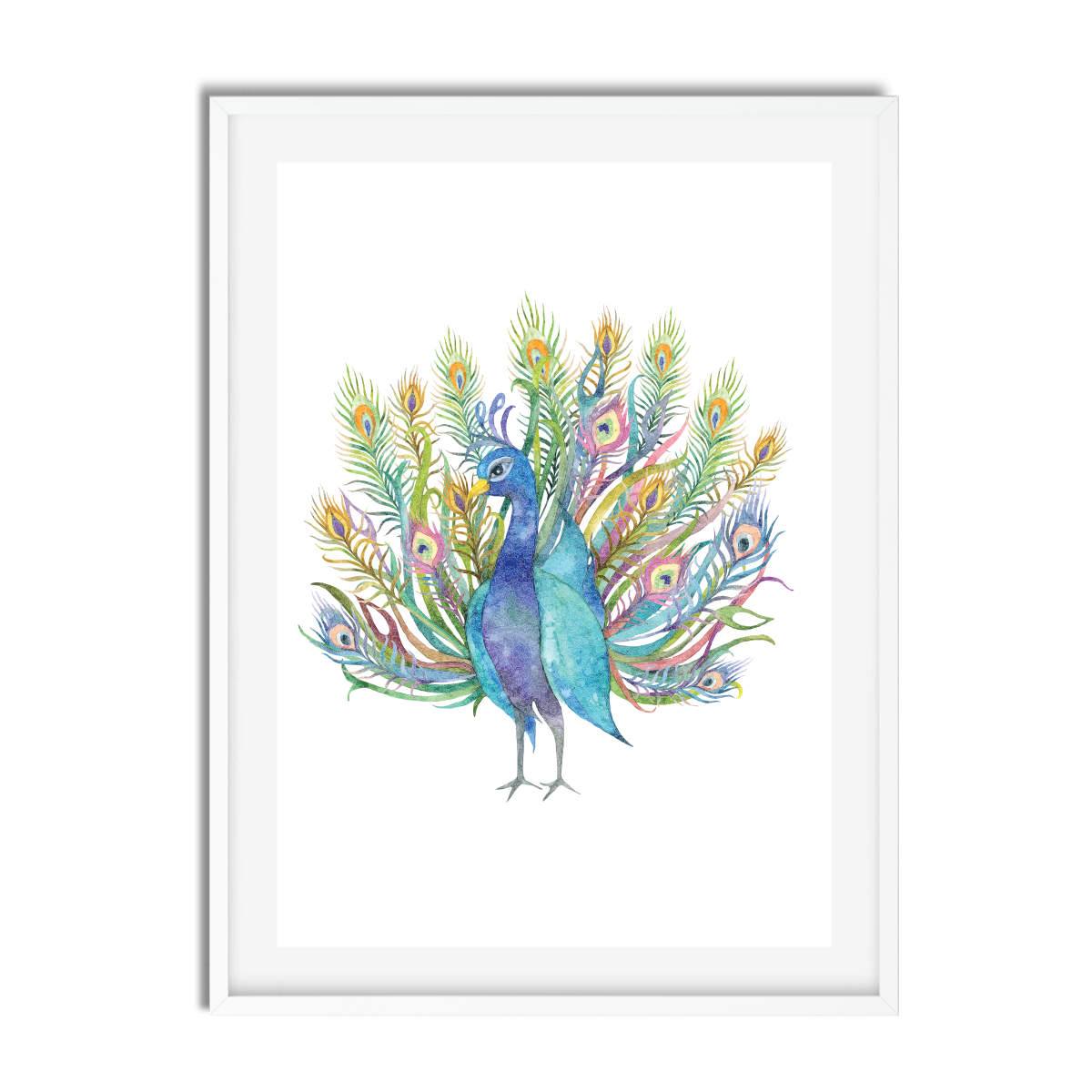 Peacocks Watercolour Set of 3 - Printibly