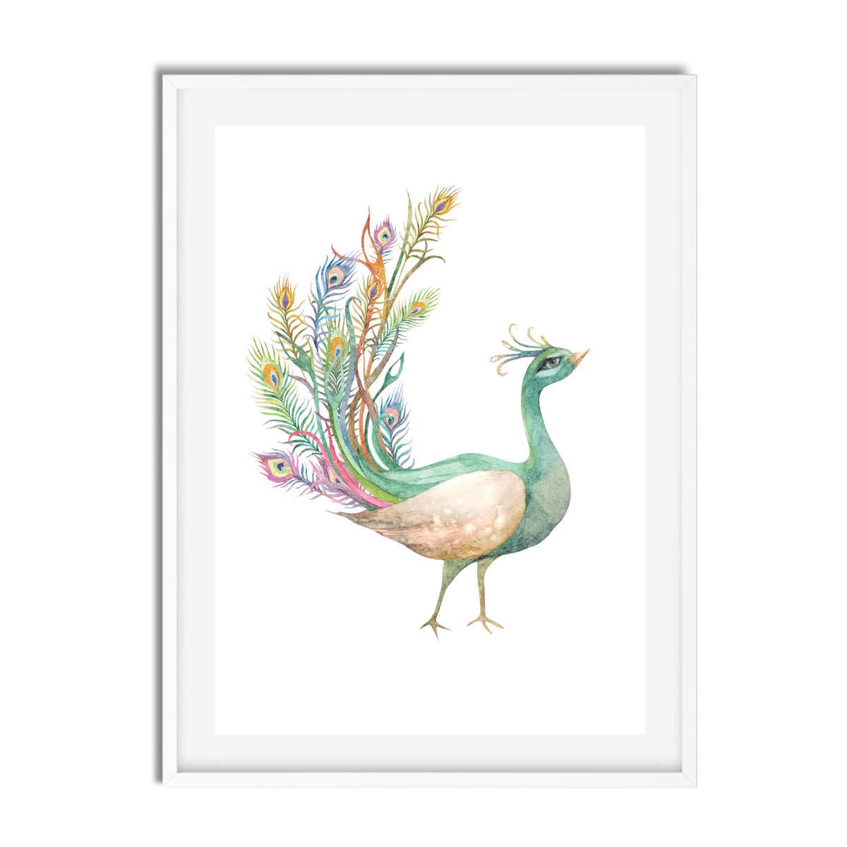 Peacocks Watercolour Set of 3 - Printibly