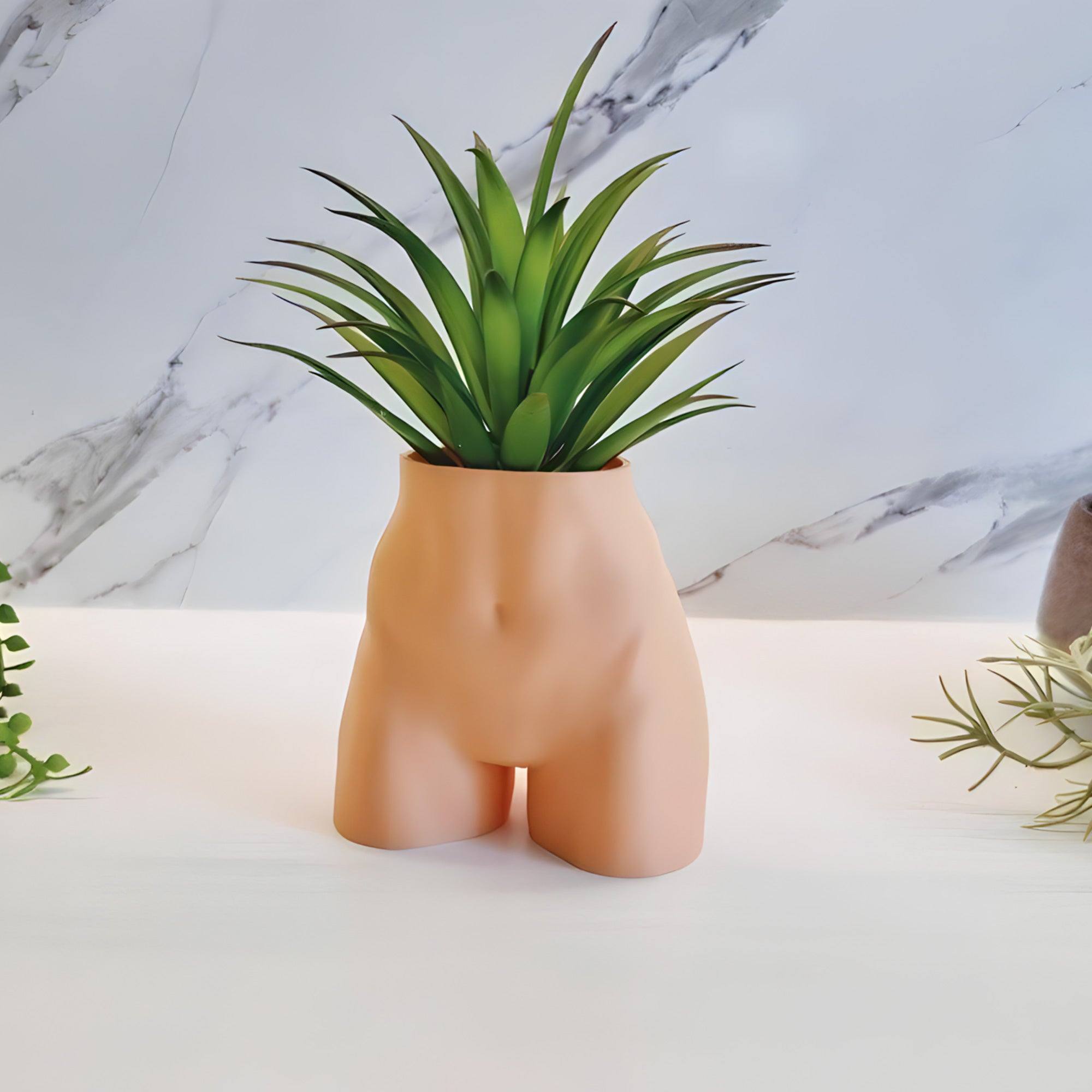 The Lady Planter - (For Air Plants/Small Succulents) - Printibly