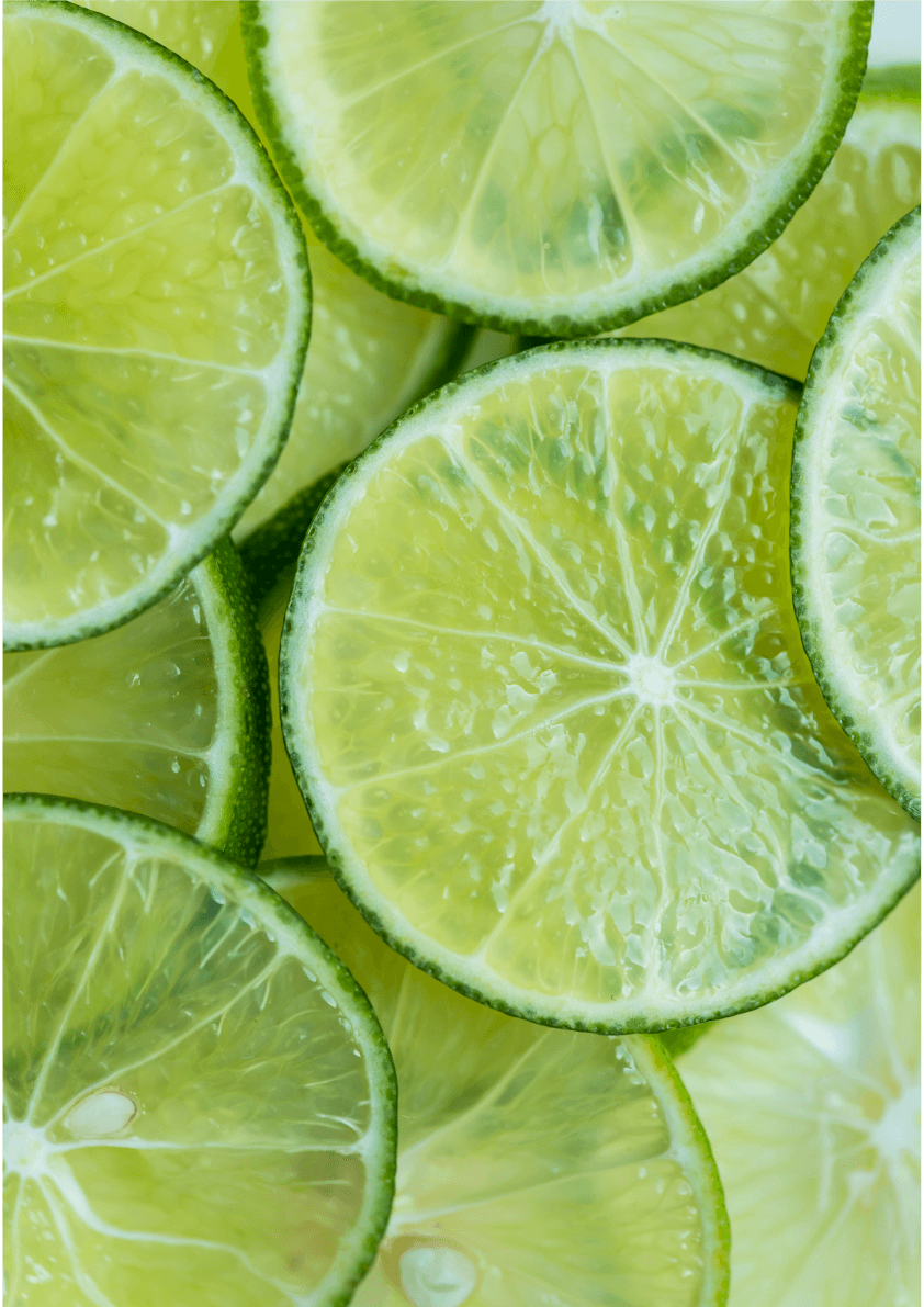 Zesty Citrus Wall Prints - Printibly