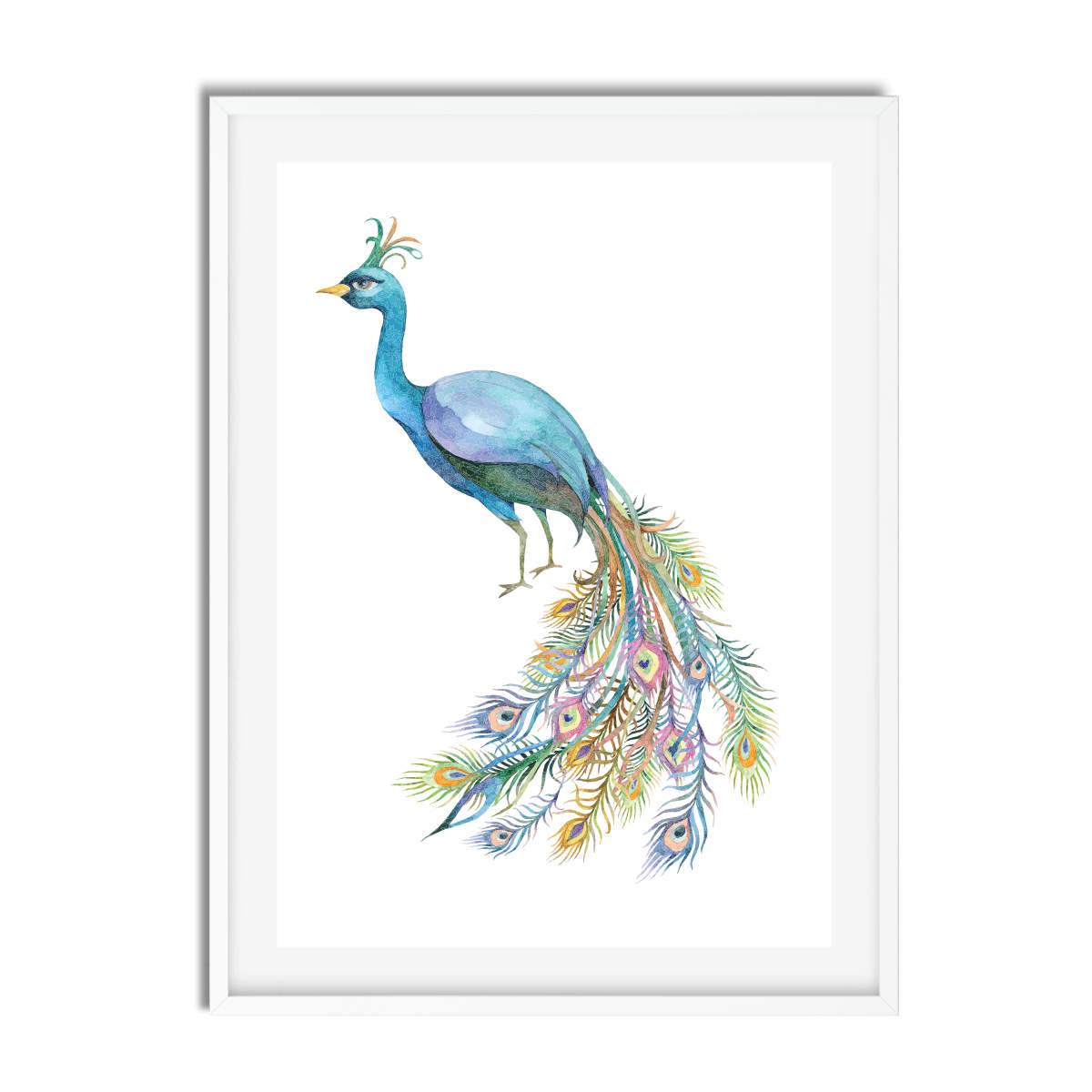 Peacocks Watercolour Set of 3 - Printibly
