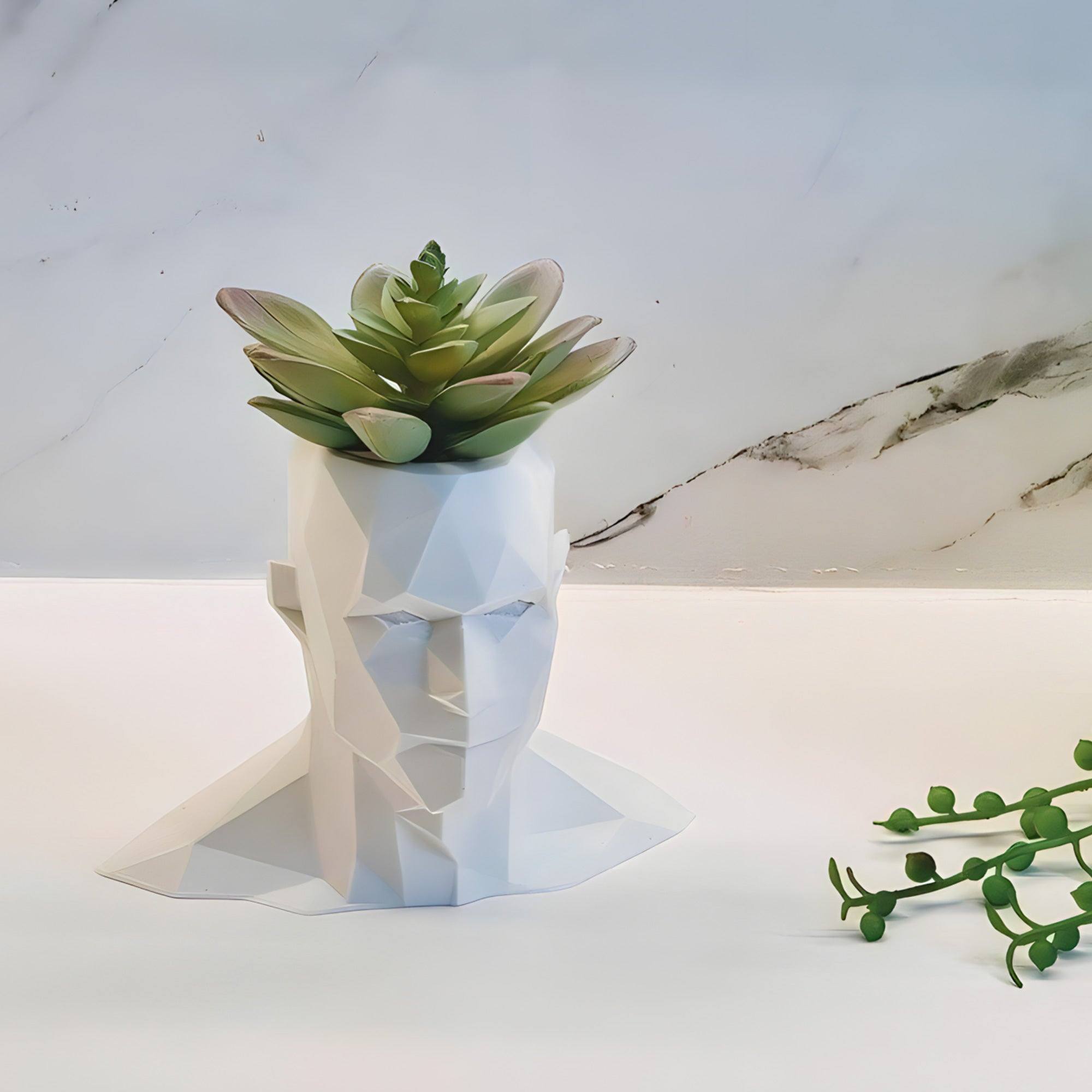 Low Poly Male Head Planter - Printibly