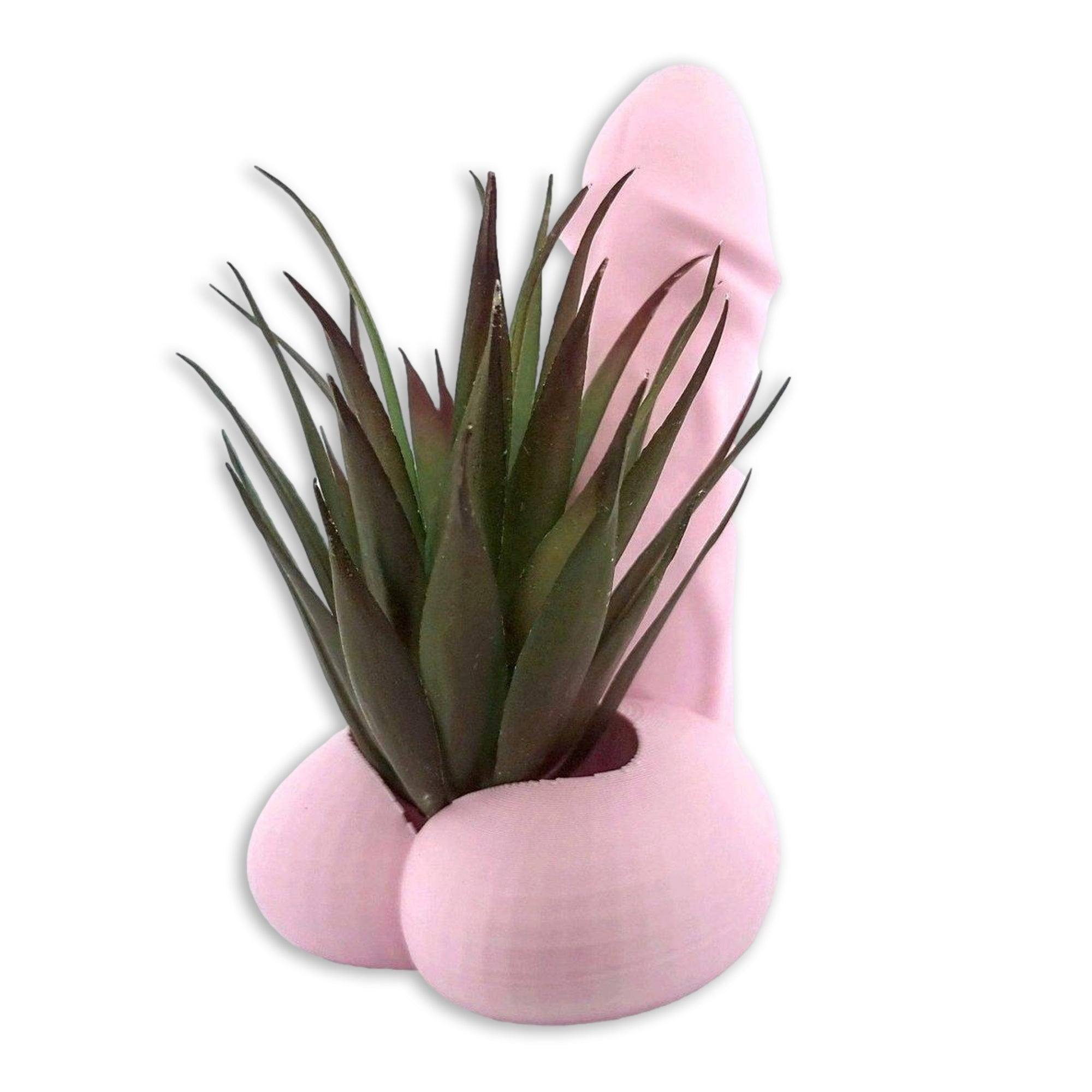 The Dong Planter - The King - Printibly