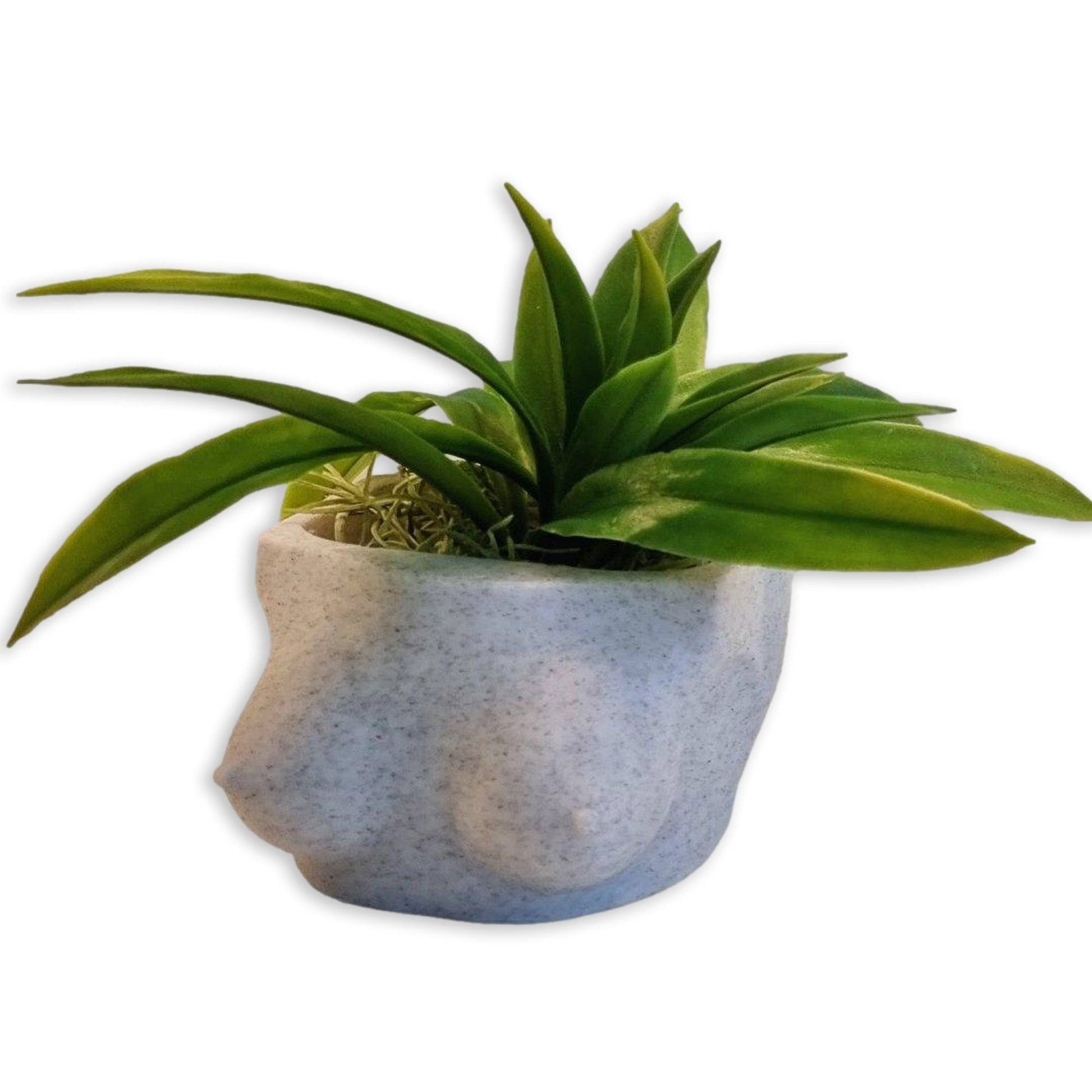 Knockers Planter - (Large Planter) - Printibly