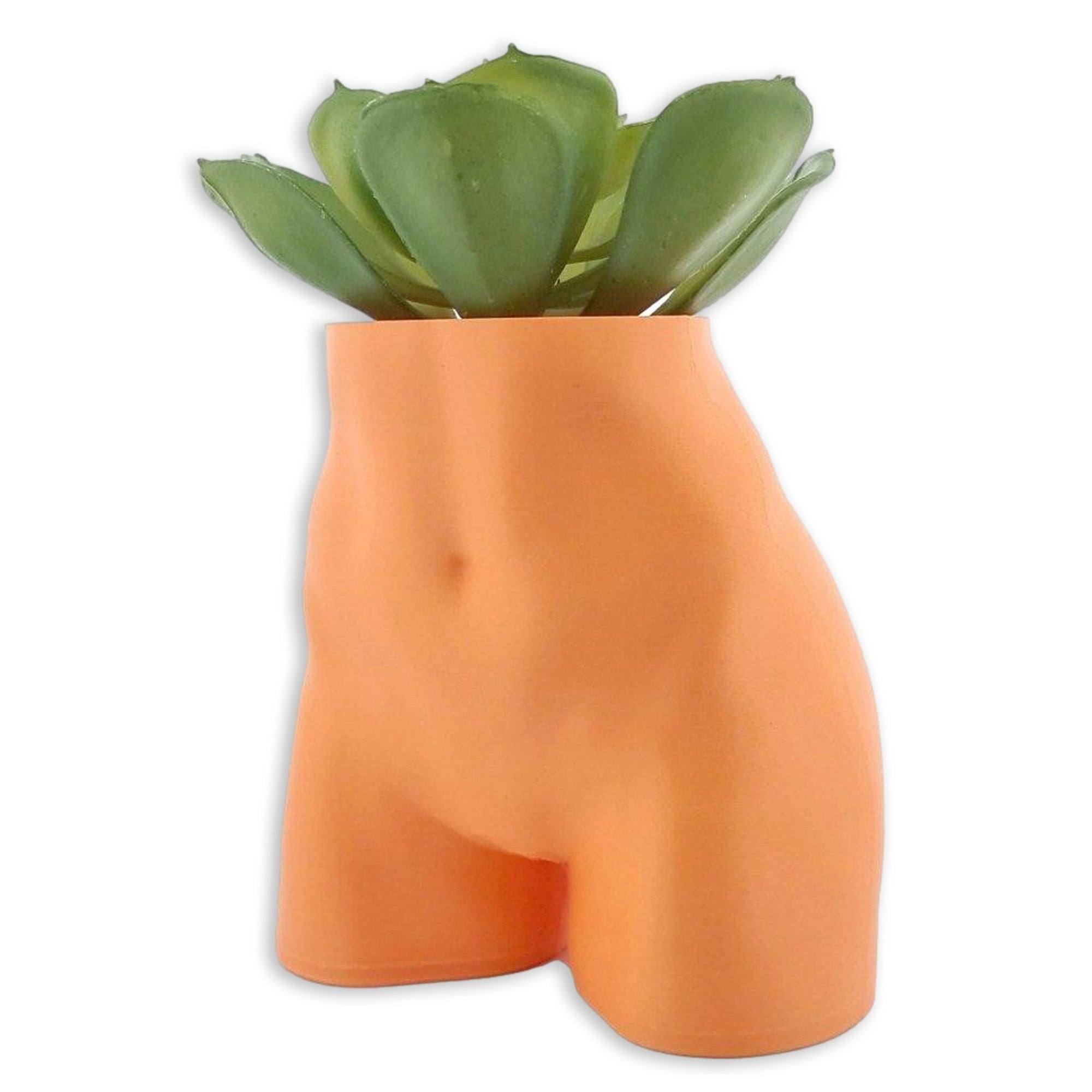 The Lady Planter - (For Air Plants/Small Succulents) - Printibly