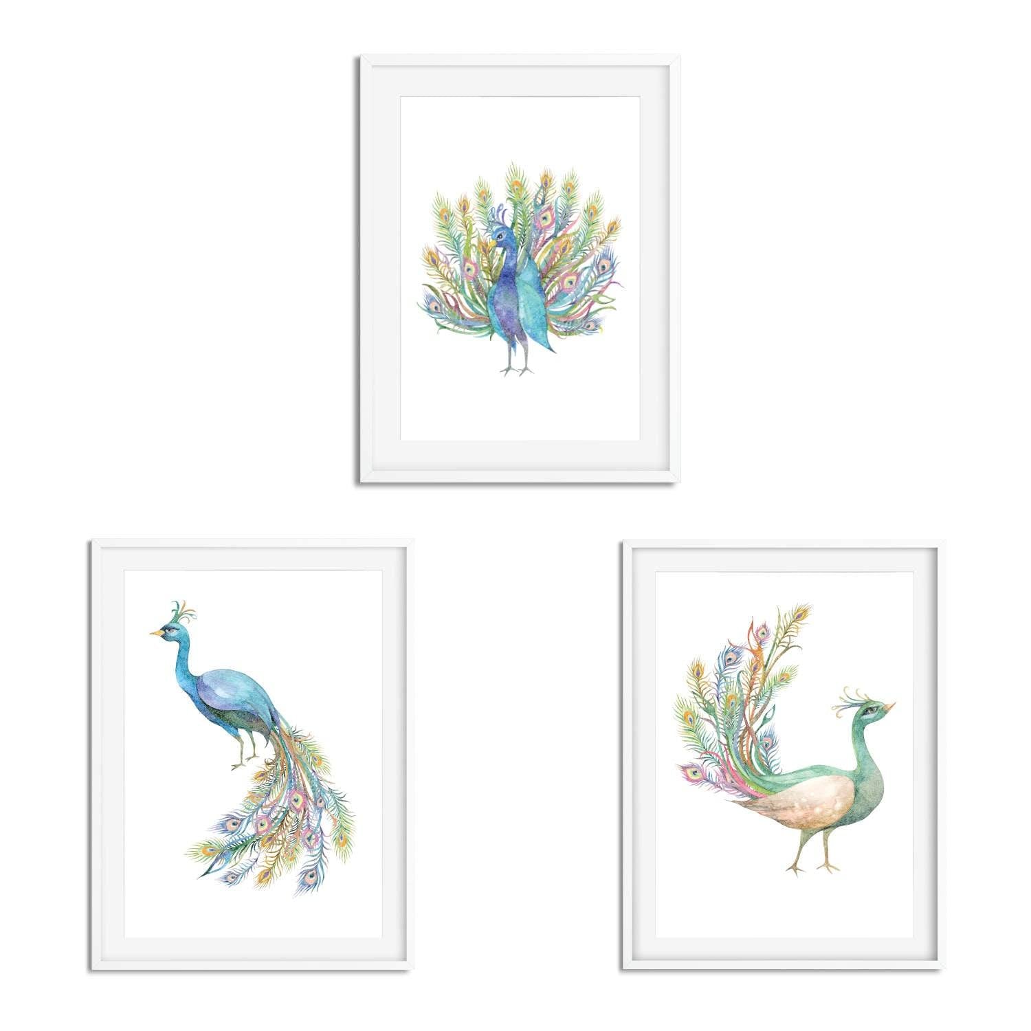Peacocks Watercolour Set of 3 - Printibly